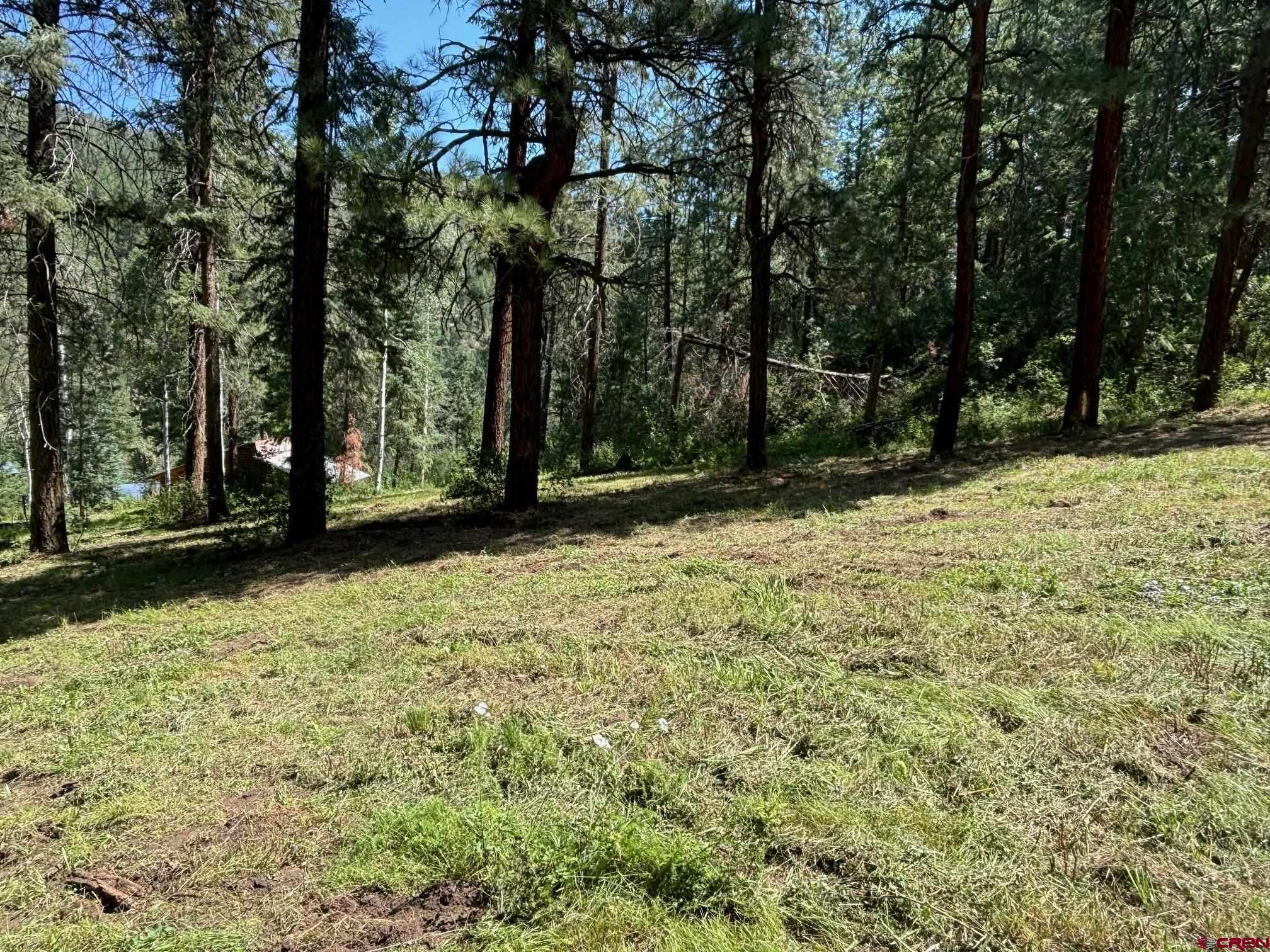 2237 Bear Creek Canyon Road