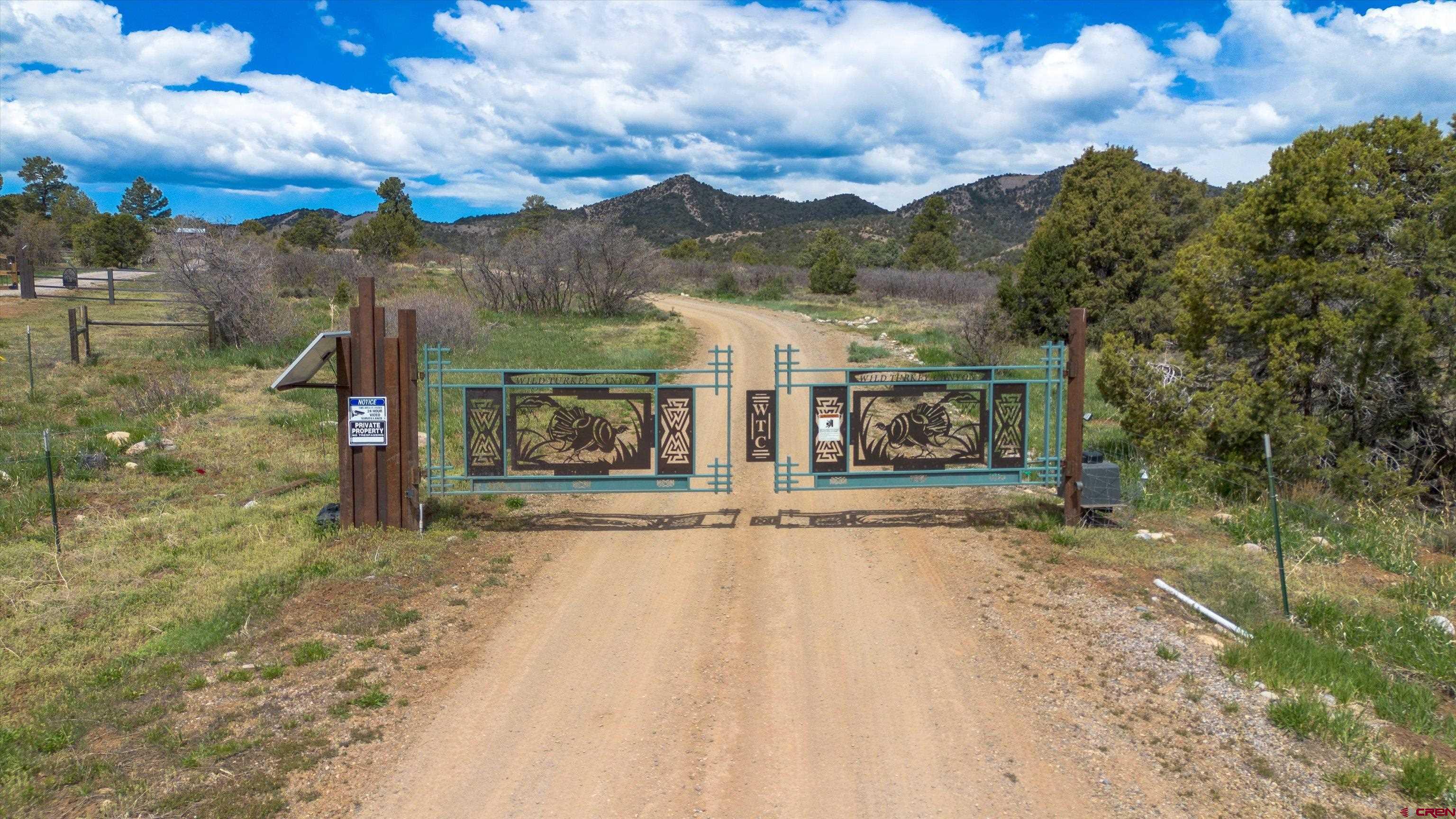 Tbd Wild Turkey Canyon