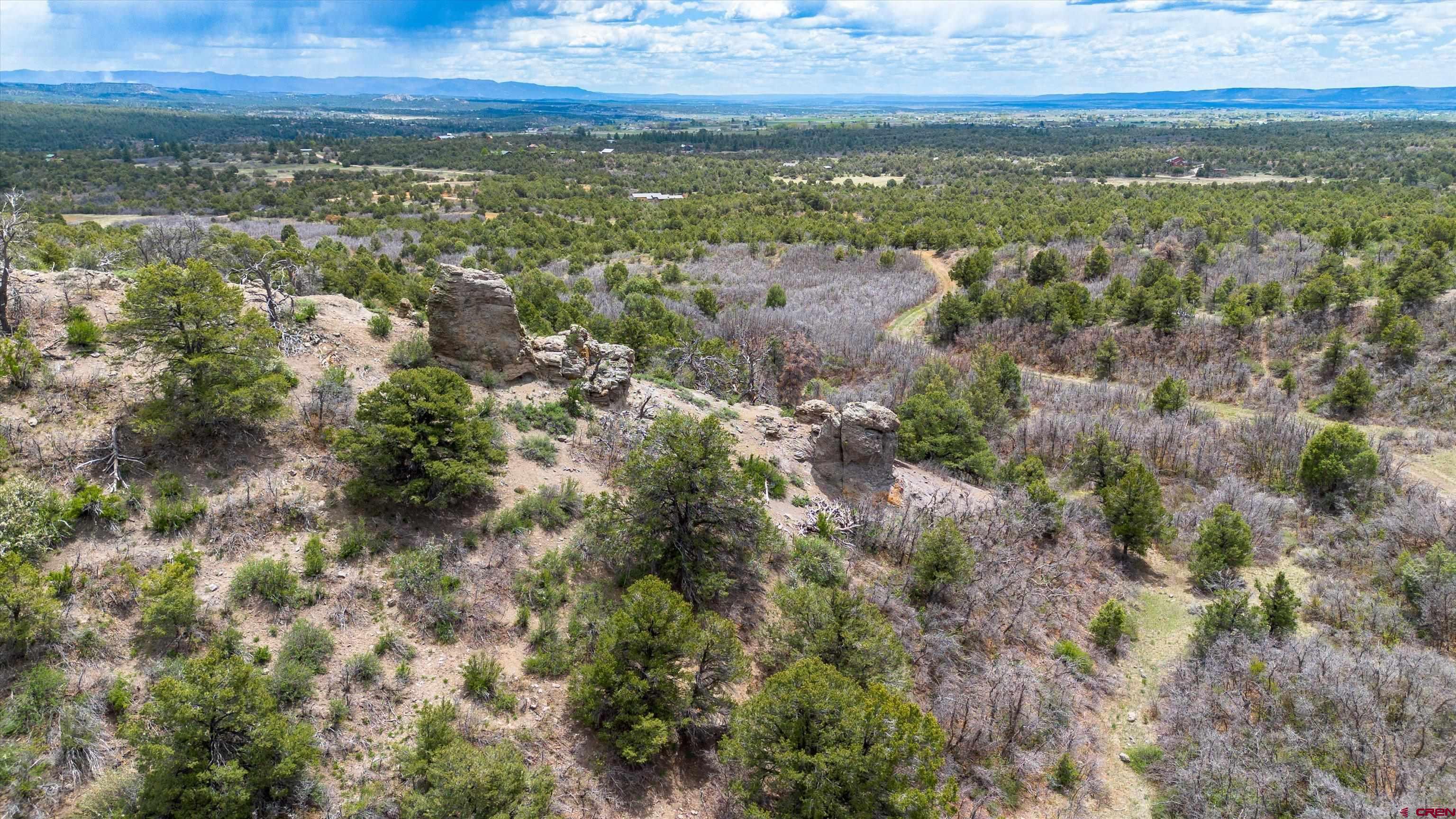 Tbd Wild Turkey Canyon