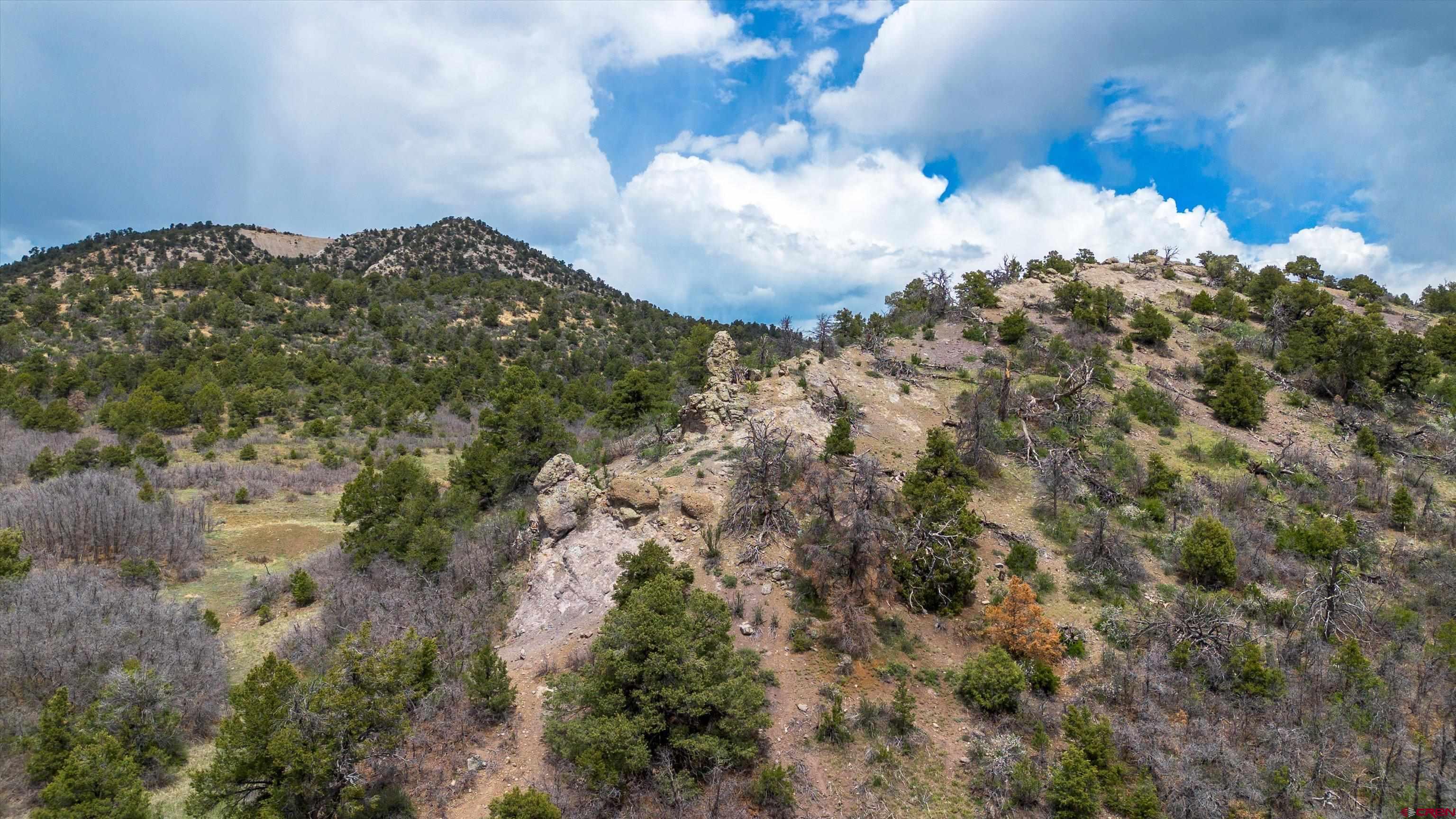 Tbd Wild Turkey Canyon