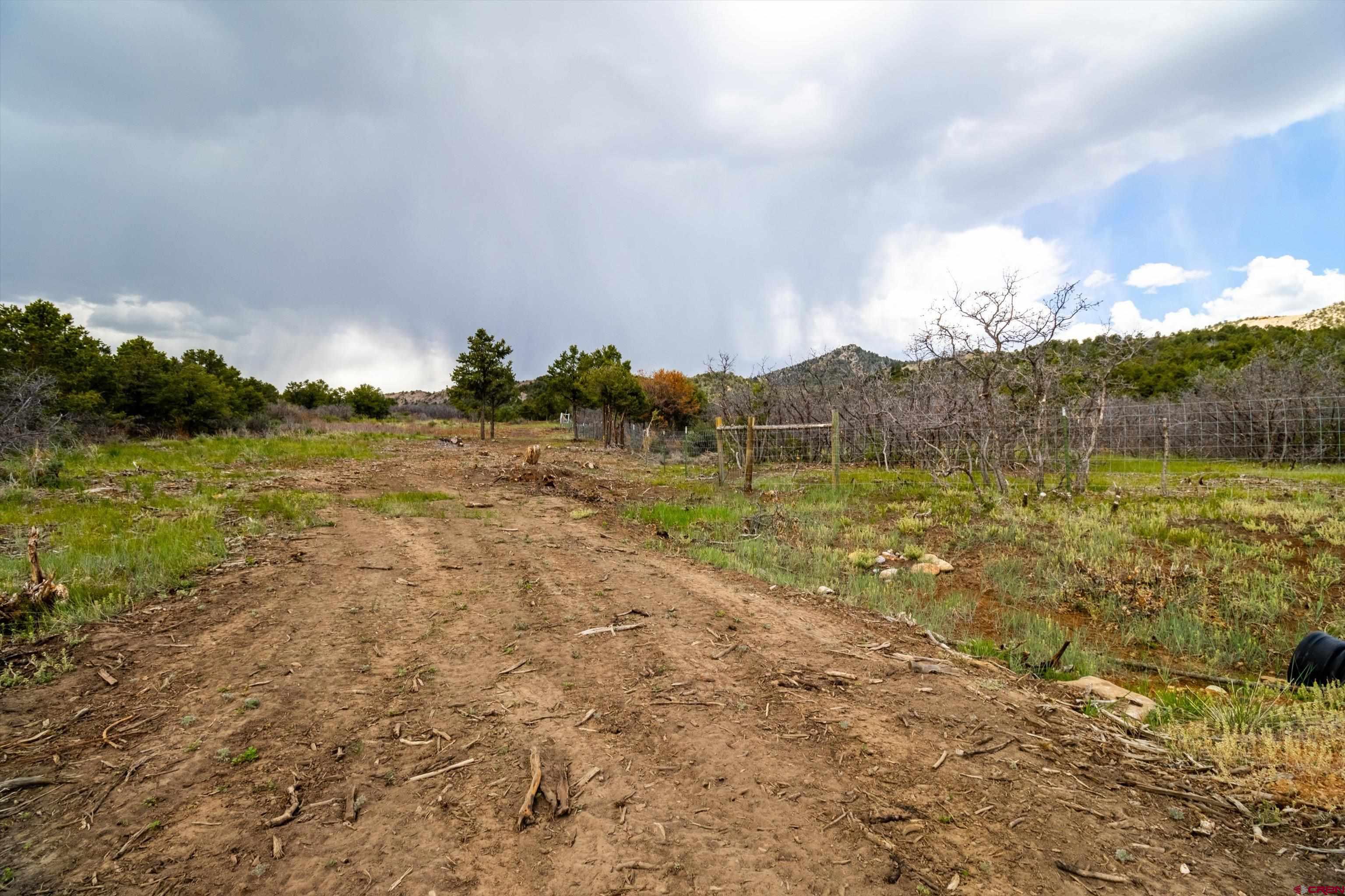 Tbd Wild Turkey Canyon