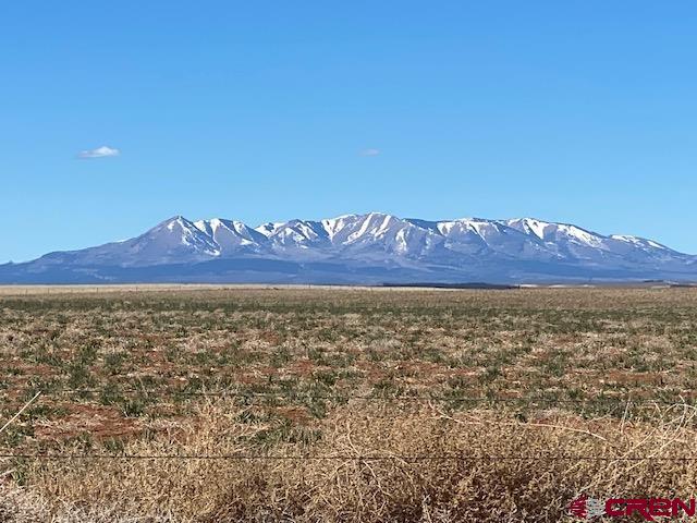 Farming and Hunting property in SW Colorado!  Both properties have been historically used for dryland farming beans, sunflowers, oats, luna grass seed, summer fallow, safflower and wheat. These two properties offer the best of both worlds for dryland farming, grazing and hunting.  No HOA's or Covenants.  They are located in Game Managment Unit 72 for Colorado hunting and qualify for a landowner private land hunting voucher.  This area offers much privacy with beautiful views of the La Salle and Blue Mountains.  Only a short drive to the world famous Pinto Bean Capital of the World Dove Creek, CO!  Don't miss out on the chance of owning your own private farm and hunting haven.