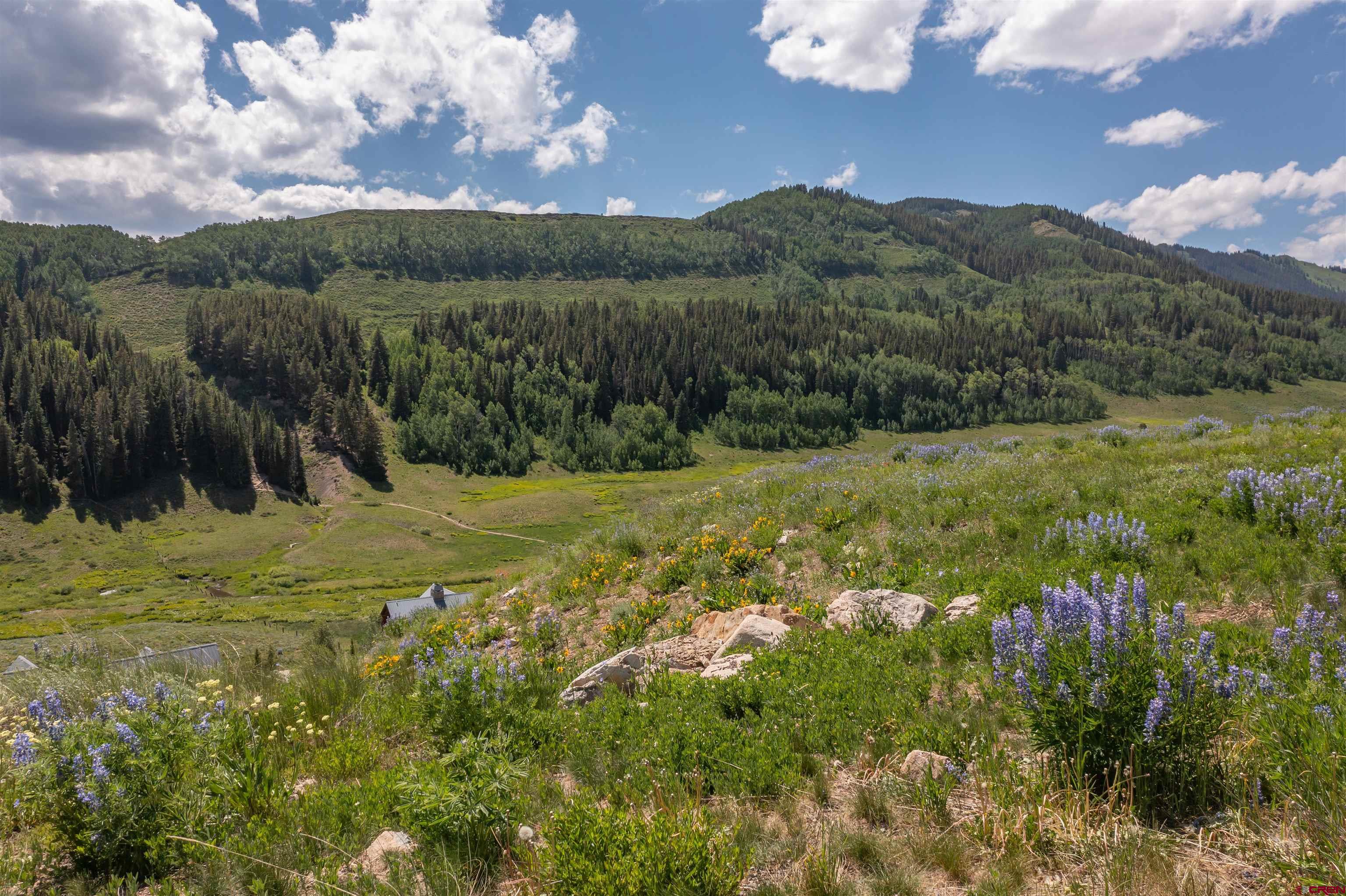 Featured Properties
