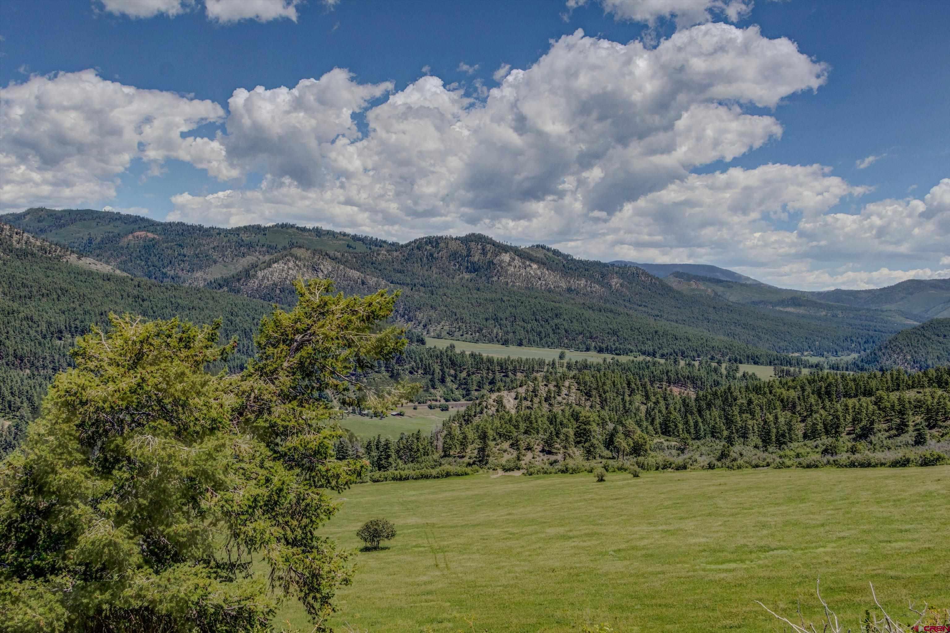 7778 County Road 240