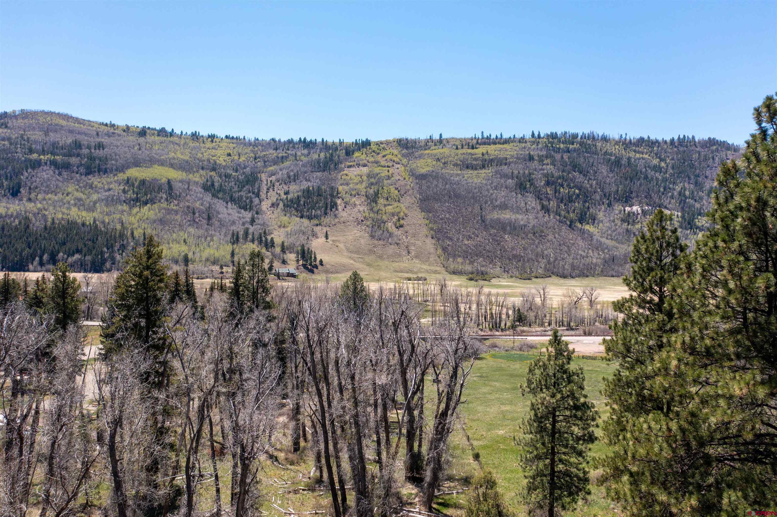 TBD Road 40