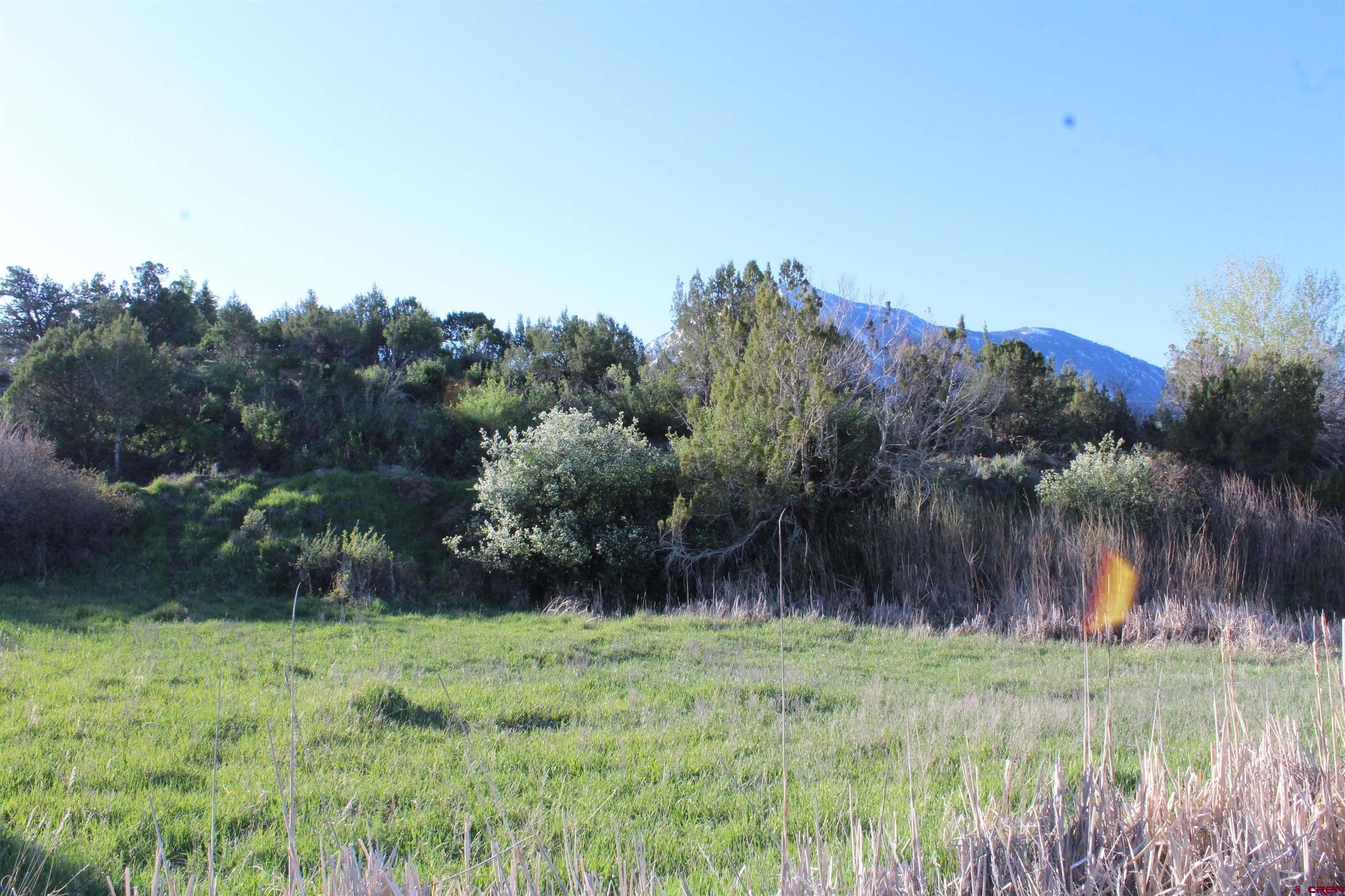 Nice-sized Hidden Valley lot located on a quiet cul-de-sac just minutes from downtown Paonia with views of Mt. Lamborn. The lot has some hillside and a nice flat building site with the back of the property bordering Turner Ditch. Water tap and sewer tap plus irrigation water included through the HOA. Ready to build your dream house!