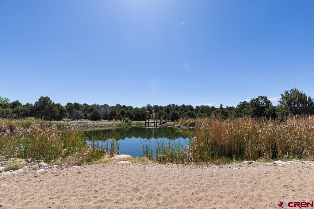 347 Jack Rabbit Trail
