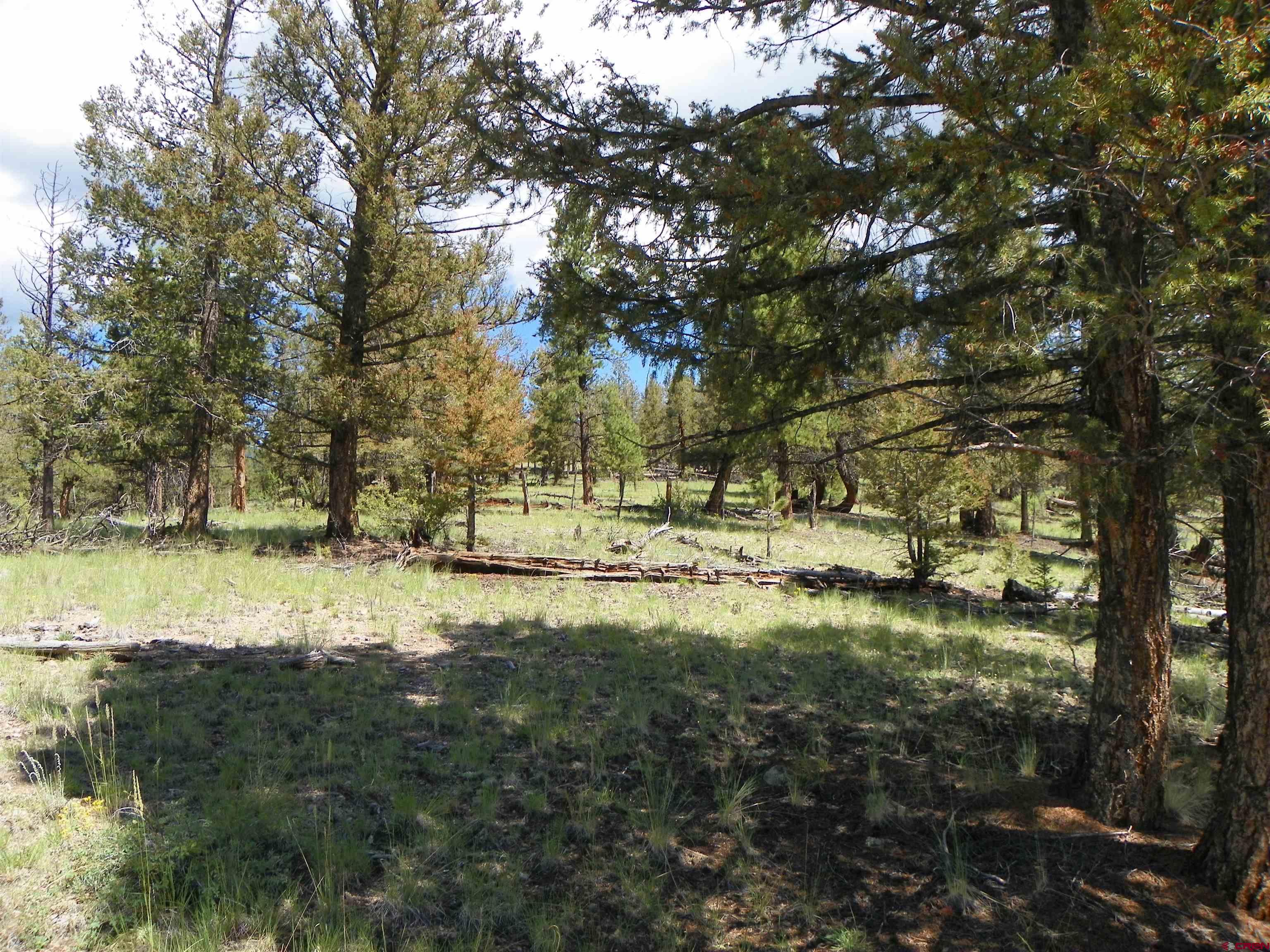 TBD County Rd 38-Ff