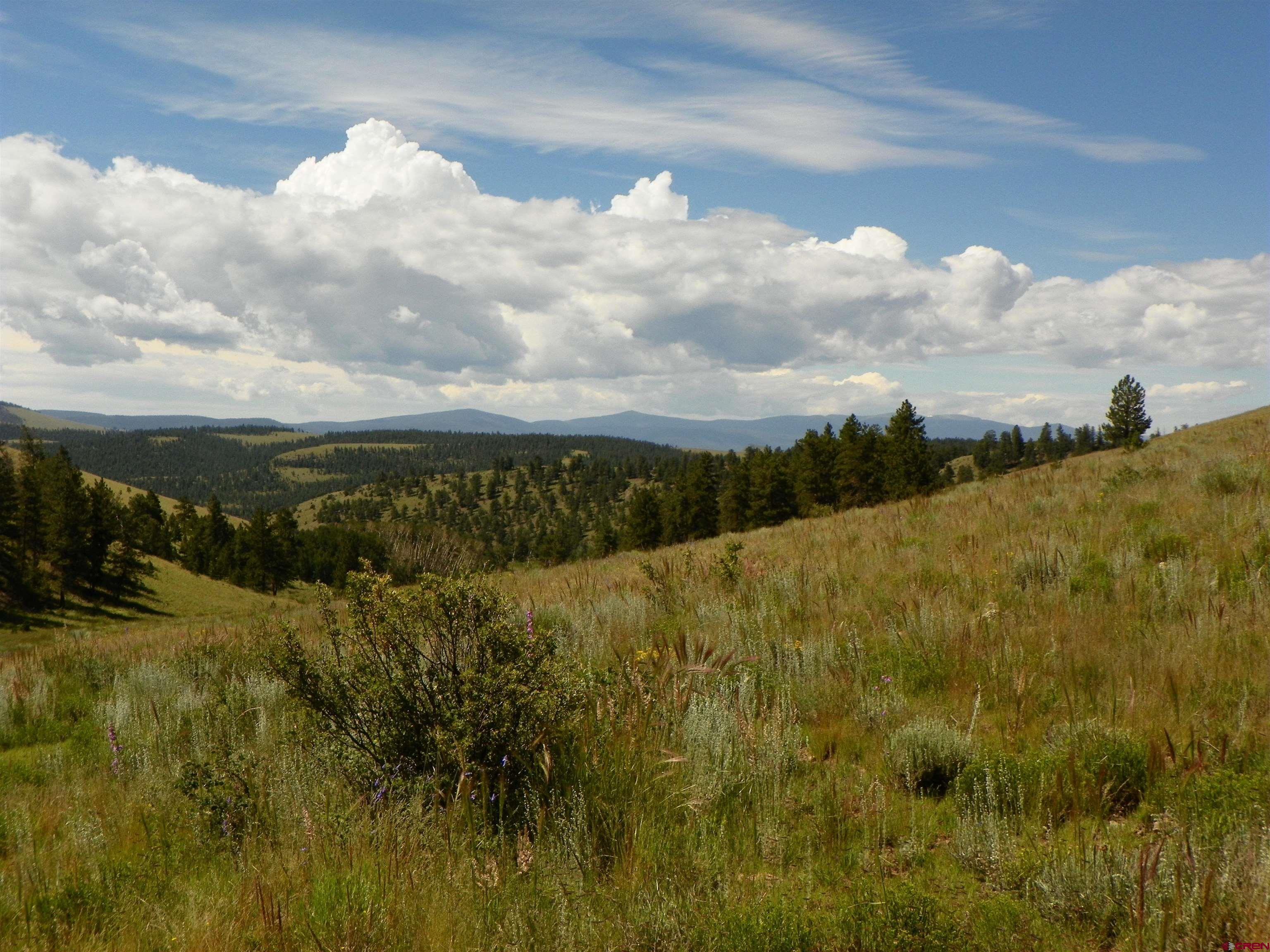 TBD County Rd 38-Ff