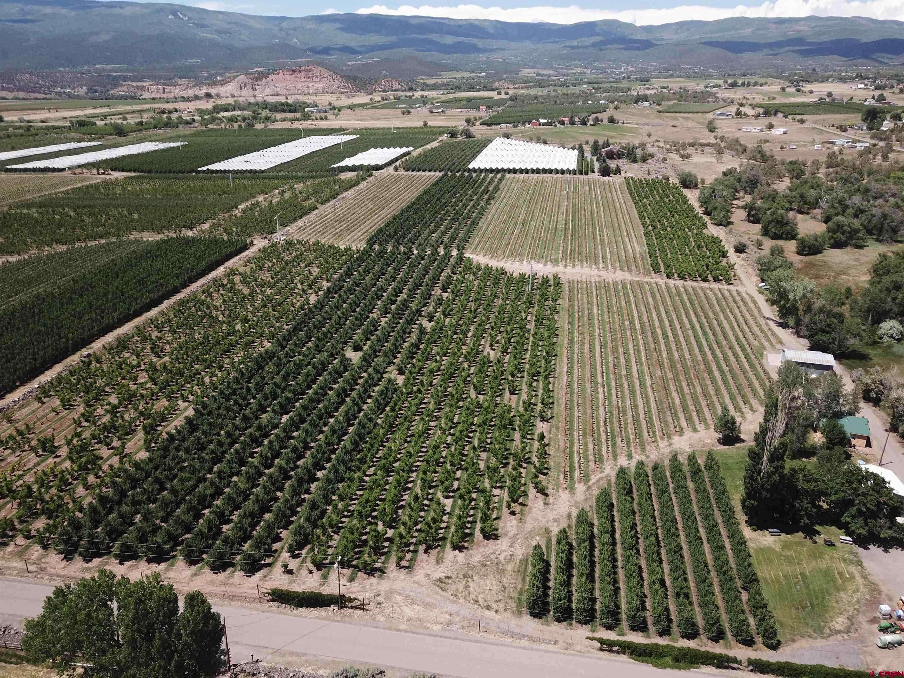 This beautiful and bountiful property has so much opportunity to offer! With 4.8 shares of Surface Creek Water, the meticulously managed fruit is thriving! The orchard contains blocks of apples and peaches and has been a successful producer for over 20 years! This property has a leased rental house that was recently remodeled, 1500 sq. ft. cooler with loading dock, a tractor barn with electric and two 30 amp electric and water hook ups for an RV. Located in the county, the agricultural property sits on the edge of Cedaredge city limits only .5 mile from town center and 20 minutes away from the Grand Mesa. This area has so much to offer from skiing at Powderhorn Ski Resort, fishing the lakes on the largest flat top Mesa in the country, or enjoying the beautiful Western Slope sunsets, there is something special to be found and it could be yours!