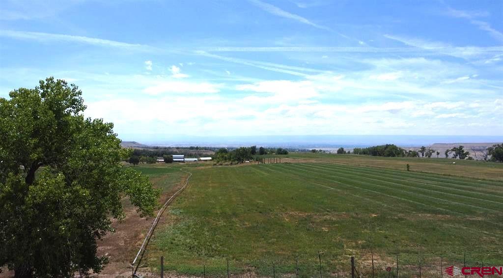 This is your chance to own a Colorado dream lot.  At 7.7 acres this parcel offers incredible views of the Grand Mesa, San Juan and Uncompahgre Mountains, plus Irrigation Water, and end of the road privacy.  This property is truly special with multiple building spot options all will be accented by the ability to have unobstructed views of the Grand Mesa.  Your really do have to tour this property to see the unique and special setting.  With wildlife abundant you will enjoy this peaceful setting.  Then owners have had some soil samples taken and are willing to share those findings with buyers.  The irrigation water is very usable with the gated pipe and is easy to control and use due to the gentle slope of the land.  The owner has produced approximately 200-280 bales a year from the land.  This property is serviced by a shared well for domestic water.  You need to see this one to really appreciate it.  When you do you will not be disappointed!