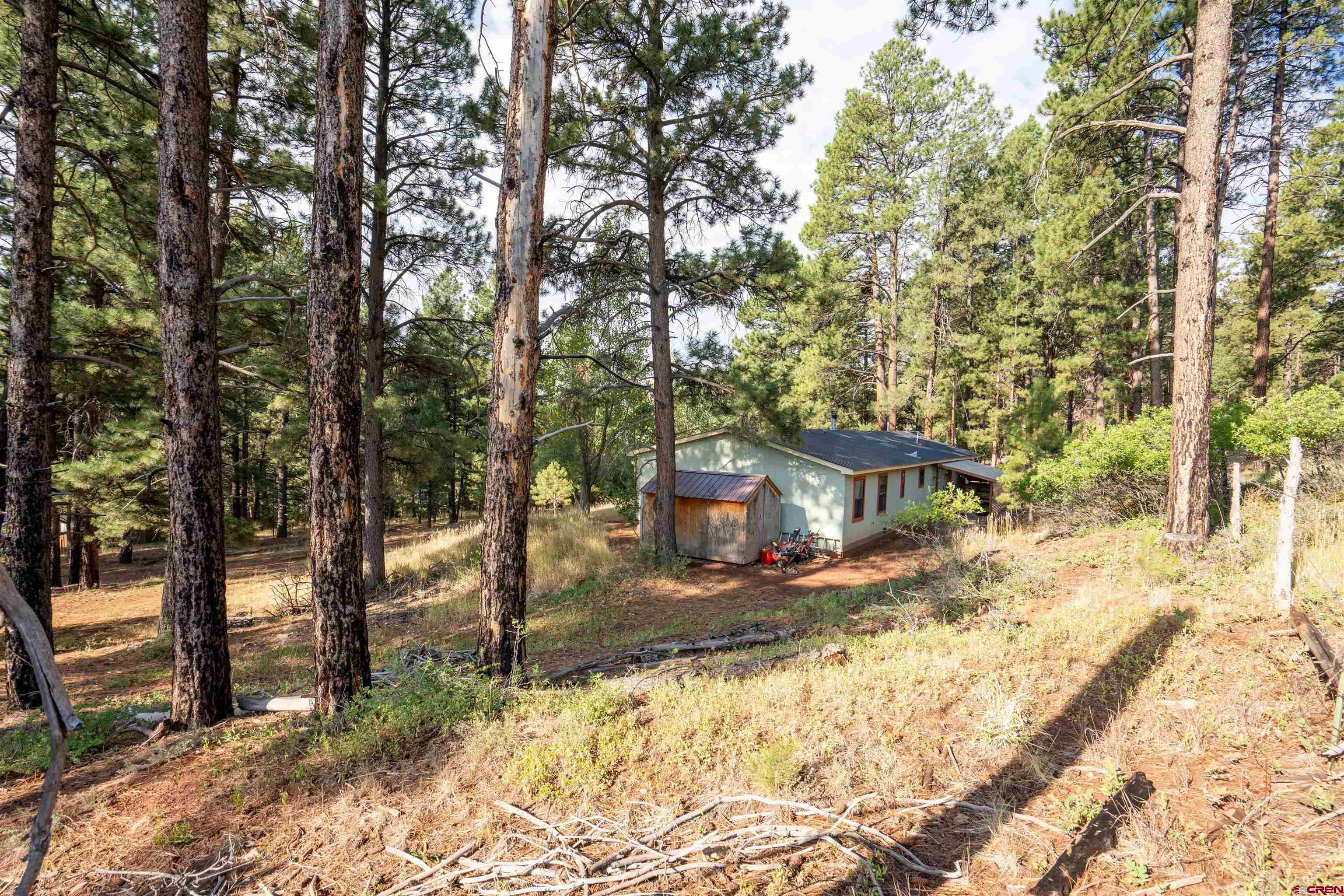 57 Pine Drive
