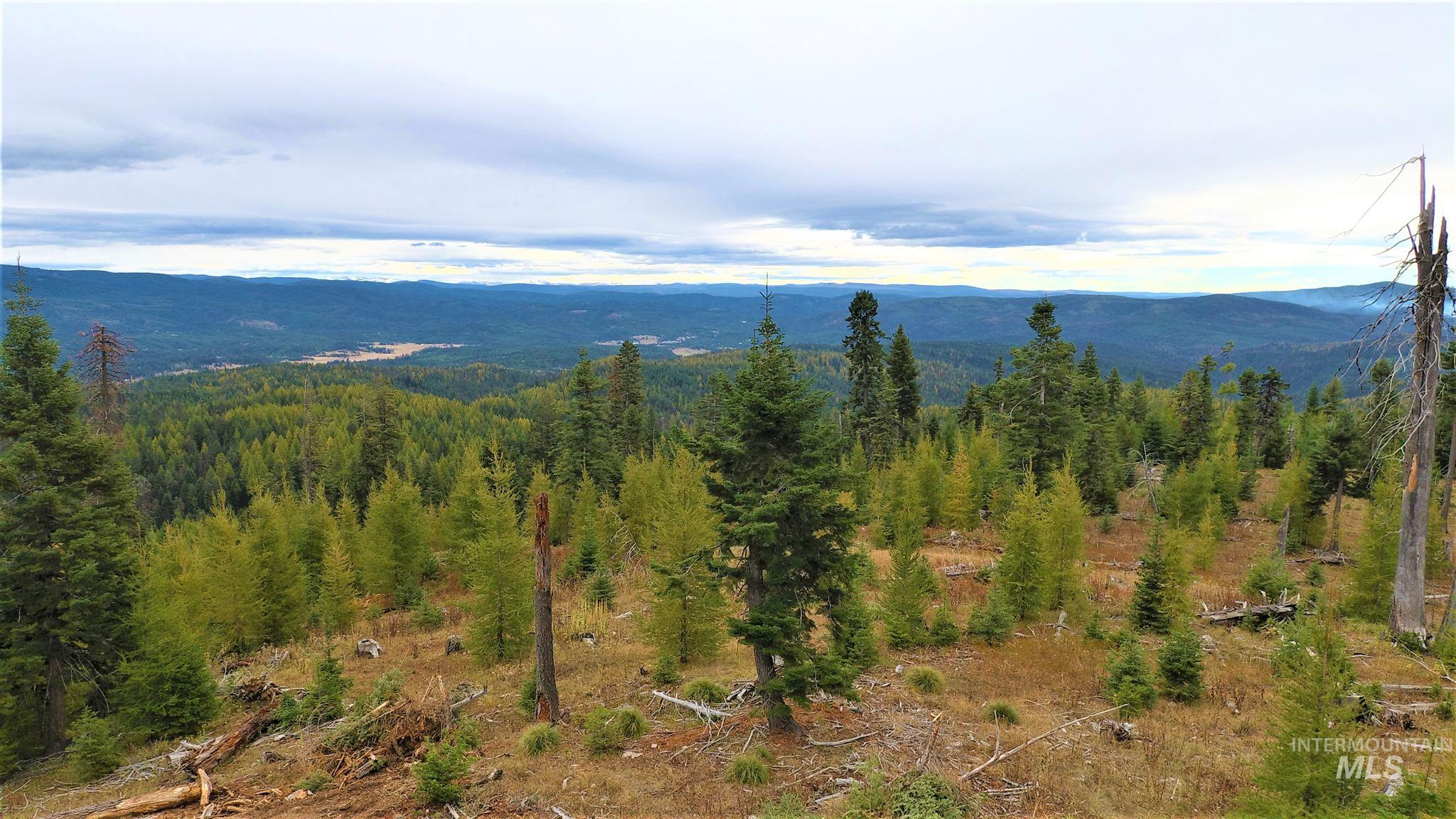 Solberg Agency Grangeville Idaho Grangeville Real Estate & Insurance Brokerage