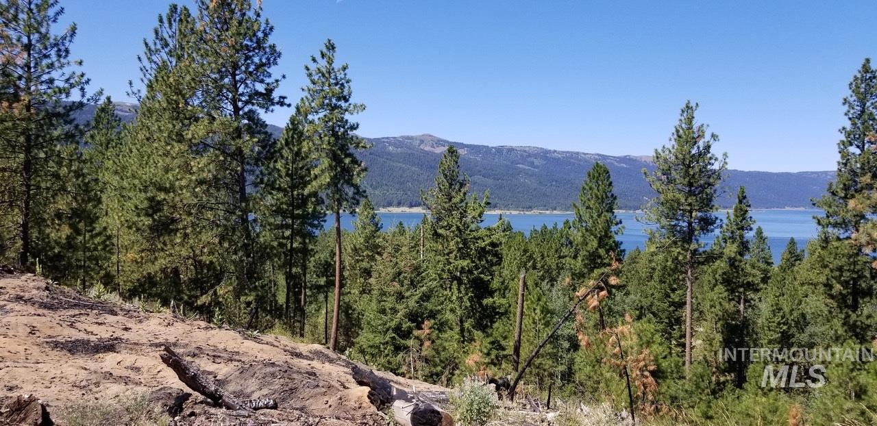 0 Lakeshore DR, Cascade, Idaho 83611, Land For Sale, Price $20,450,000,MLS 98794043