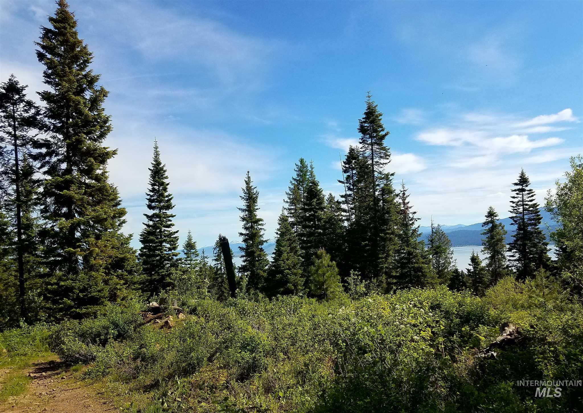0 Anderson Creek & West Mountain, Cascade, Idaho 83611-0000, Land For Sale, Price $3,750,000,MLS 98795989