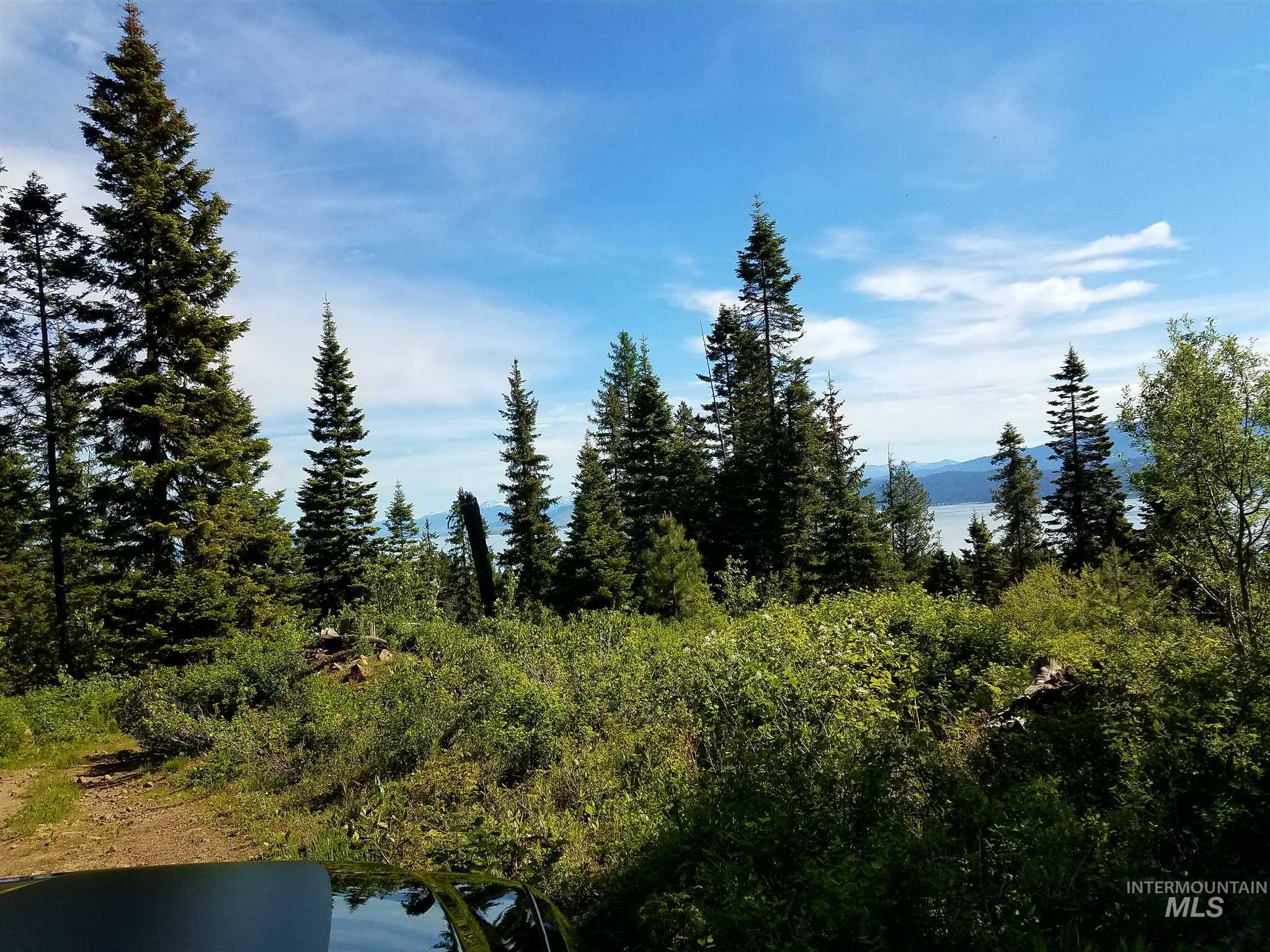 0 Anderson Creek-Upper Mountain, Cascade, Idaho 83611-0000, Land For Sale, Price $1,850,000,MLS 98798023
