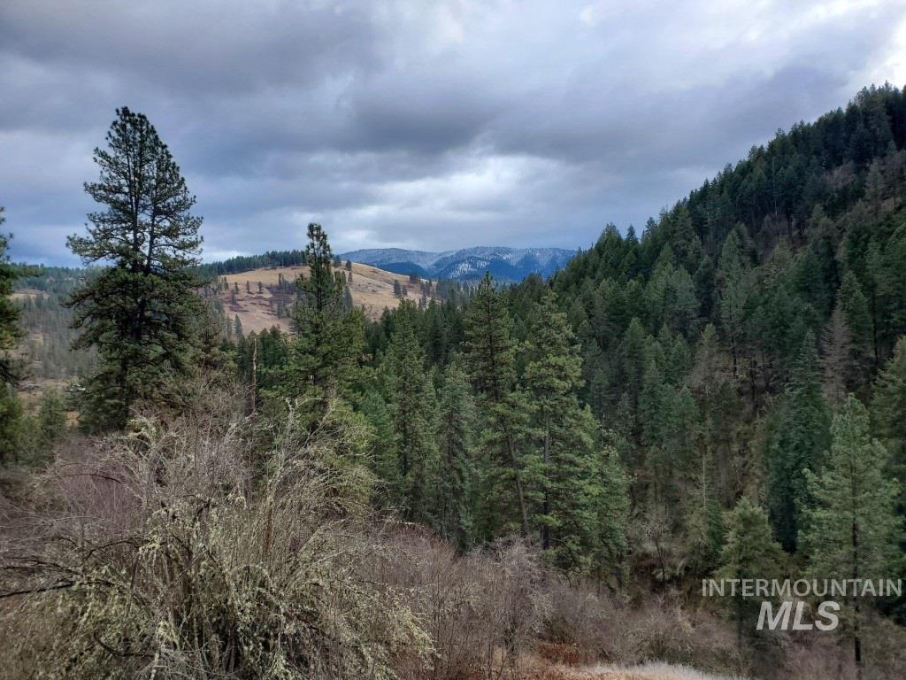 Solberg Agency Grangeville Idaho Grangeville Real Estate