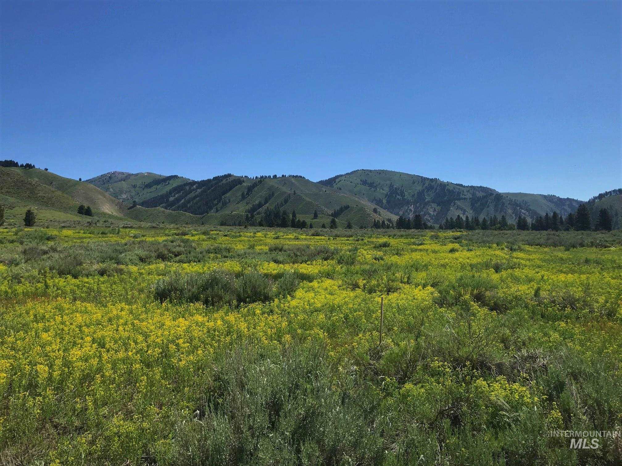 Lot 3 Block 1 South Fork Ranch Subdivision, Featherville, Idaho 83647, Land For Sale, Price $198,000,MLS 98807145