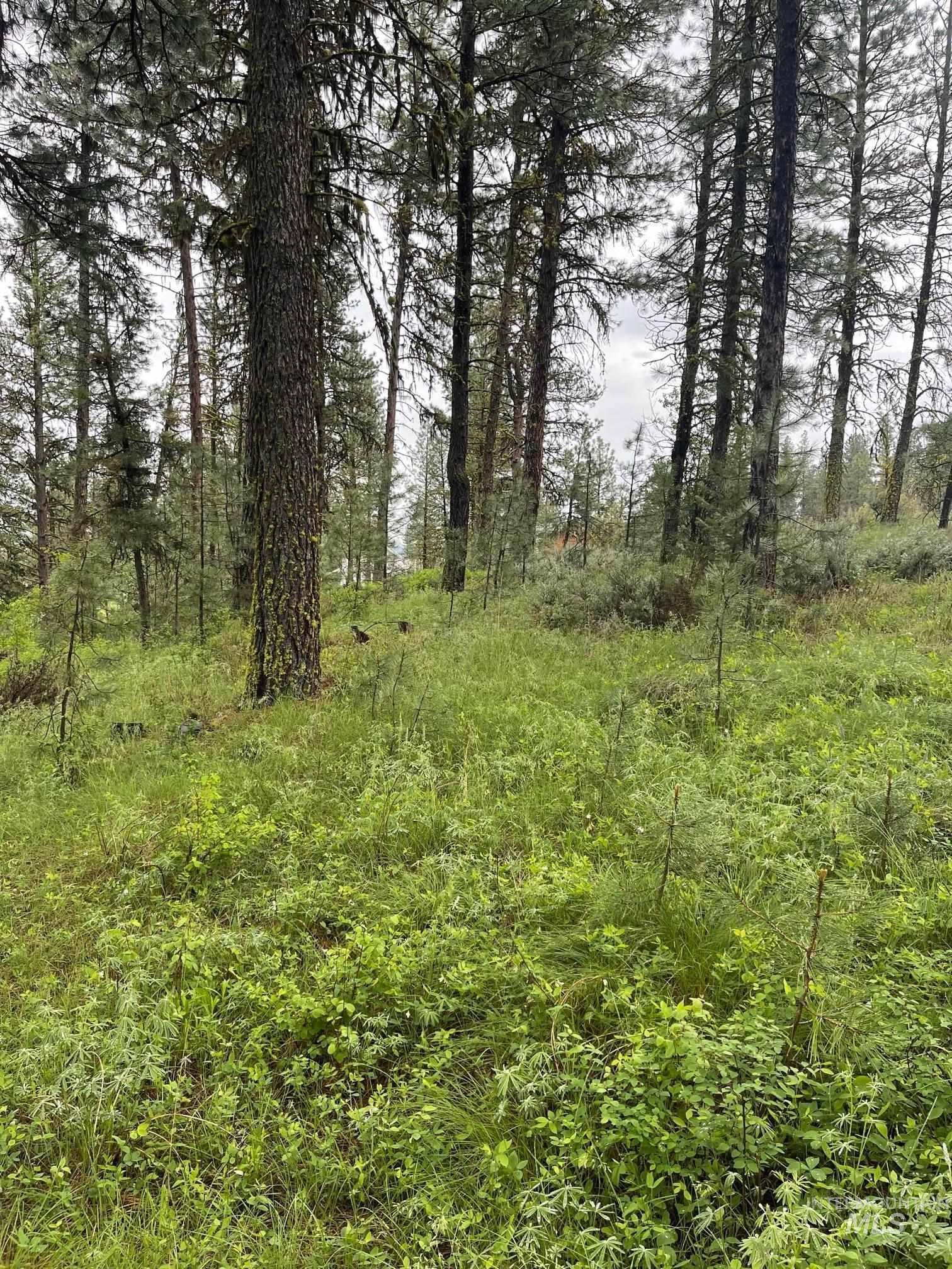 TBD Hot Springs Rd, New Meadows, Idaho 83654, Land For Sale, Price $77,000,MLS 98811022