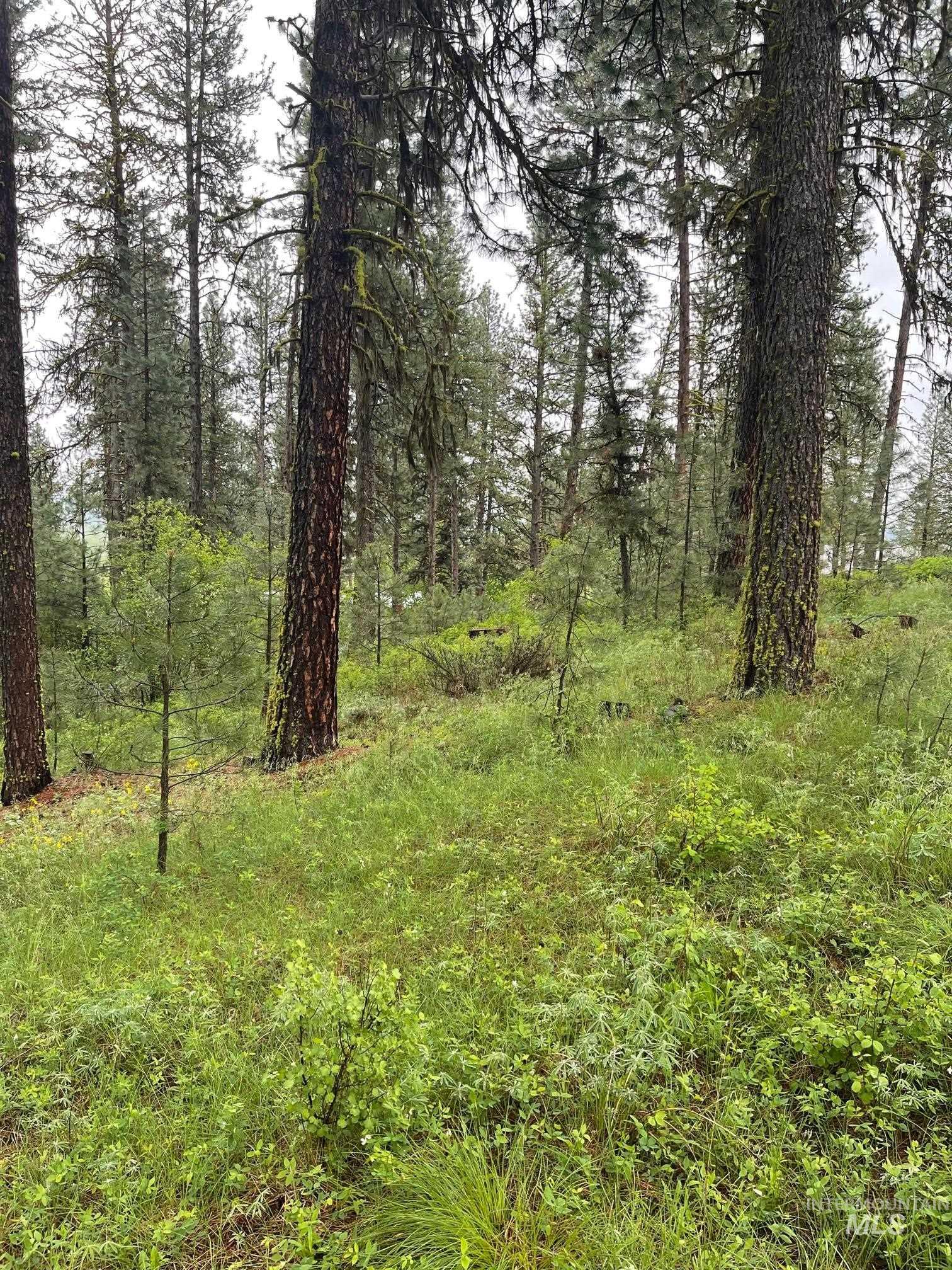 TBD Hot Springs Rd, New Meadows, Idaho 83654, Land For Sale, Price $77,000,MLS 98811022