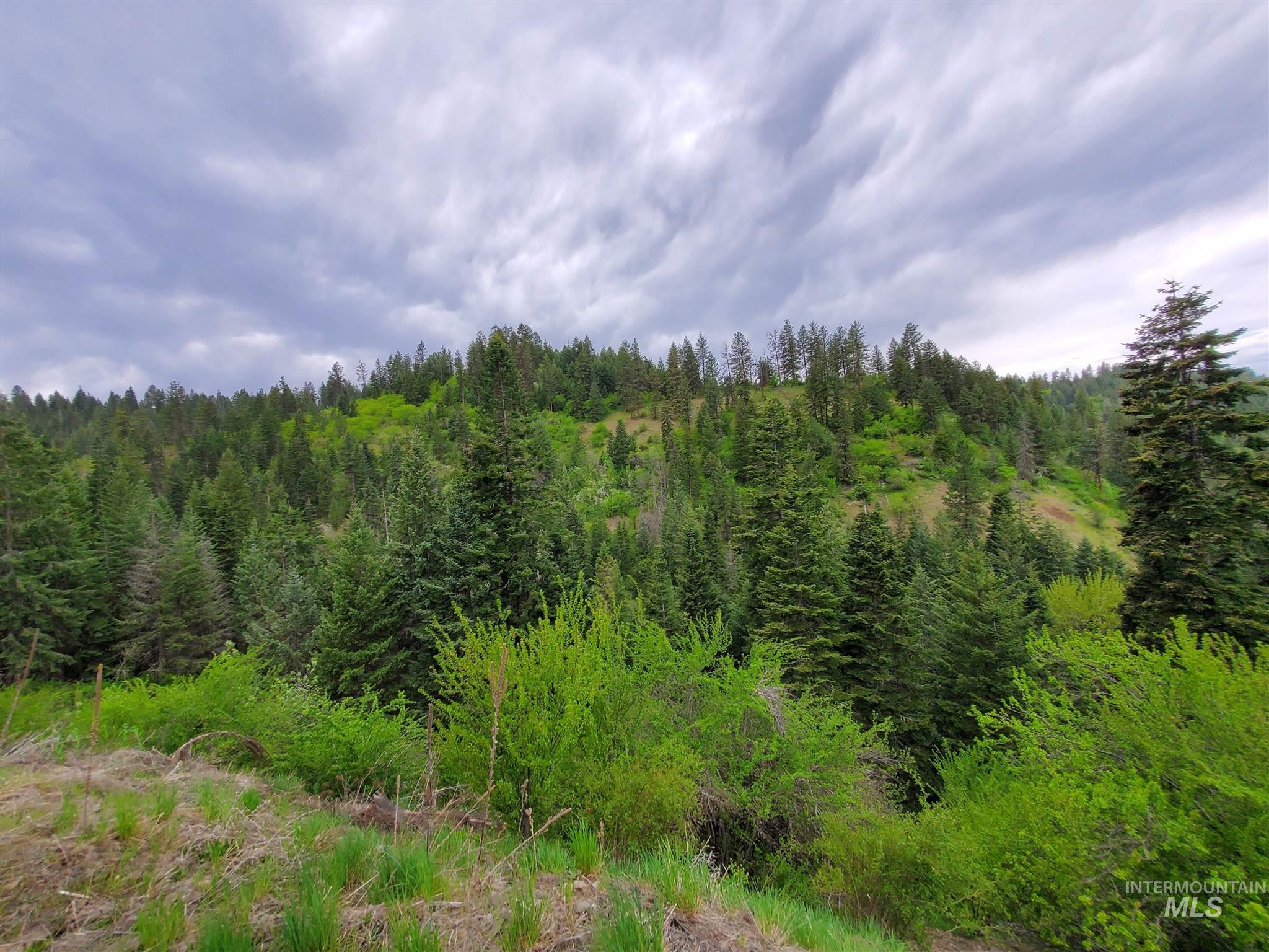 TBD Clearwater Rd, Clearwater, Idaho 83539, Land For Sale, Price $658,000,MLS 98813365