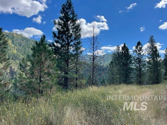 TBD Eddy Creek Road Lot 1, Garden Valley, Idaho 83622, Land For Sale, Price $395,000, 98816356