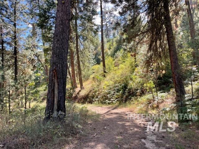 TBD Eddy Creek Road Lot 1, Garden Valley, Idaho 83622, Land For Sale, Price $395,000, 98816356