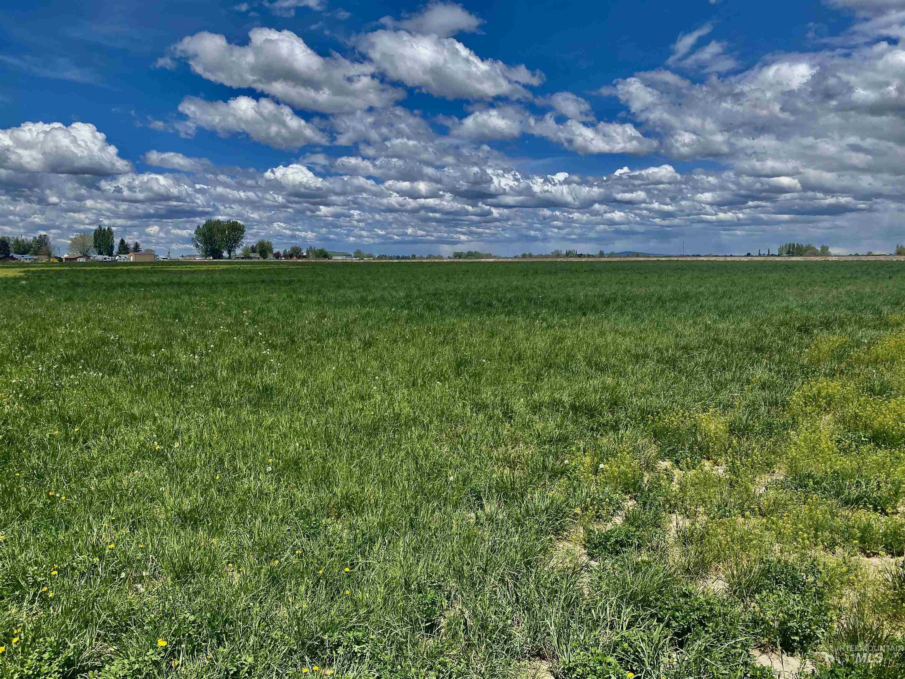 350 S 500 W, Heyburn, Idaho 83336, Land For Sale, Price $1,100,000, 98817591