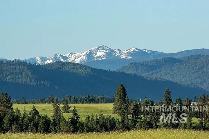 TBD Tinker Road, Clearwater, Idaho 83539, Land For Sale, Price $205,000,MLS 98831808
