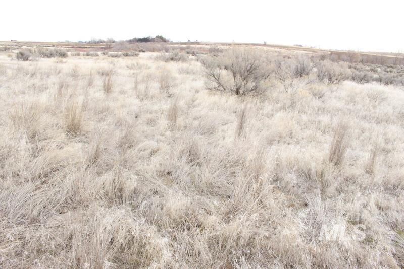 TBD Vacant Land, Gooding, Idaho 83330, Land For Sale, Price $350,000,MLS 98839202