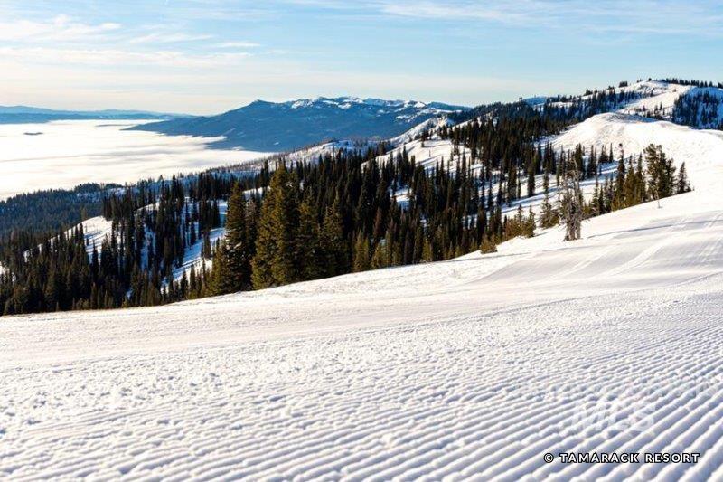 18 Aspen Glade Court, Donnelly, Idaho 83615, Land For Sale, Price $429,000, 98841450