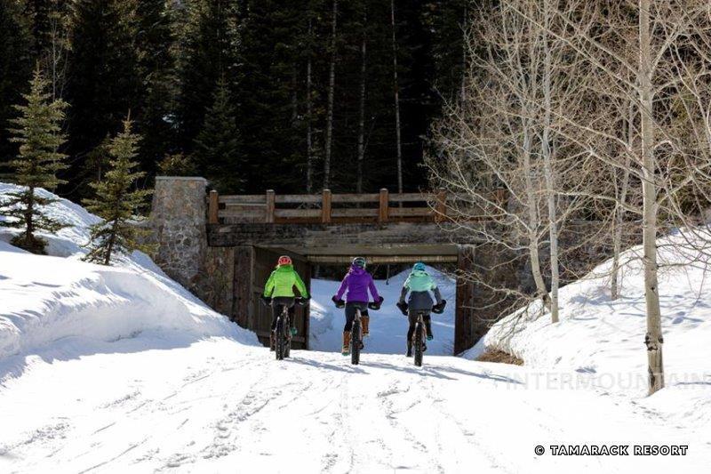 18 Aspen Glade Court, Donnelly, Idaho 83615, Land For Sale, Price $429,000, 98841450