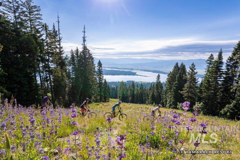 18 Aspen Glade Court, Donnelly, Idaho 83615, Land For Sale, Price $429,000, 98841450