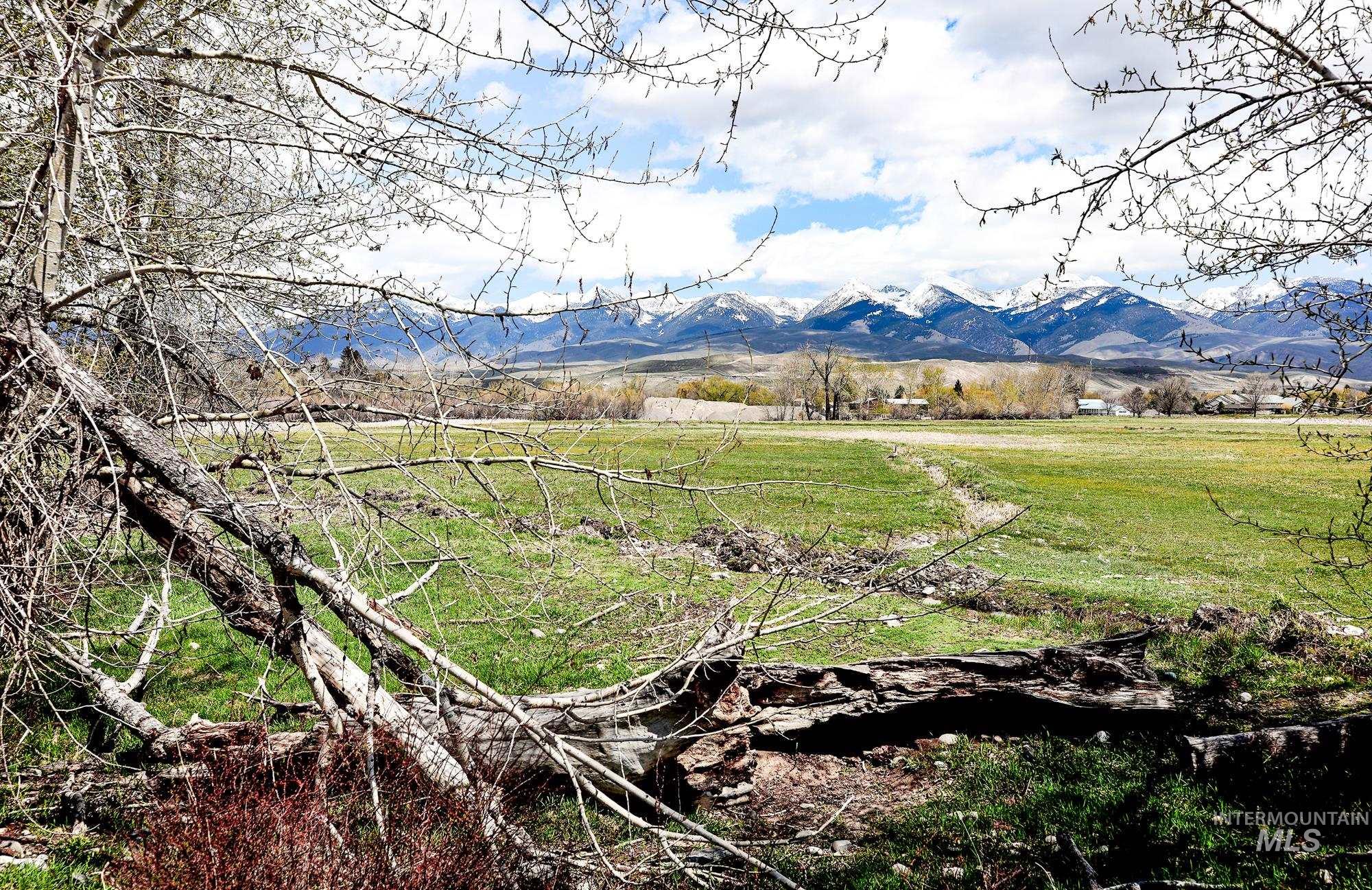 TBD St Charles Street, Salmon, Idaho 83467, Farm & Ranch For Sale, Price $1,125,000, 98842168