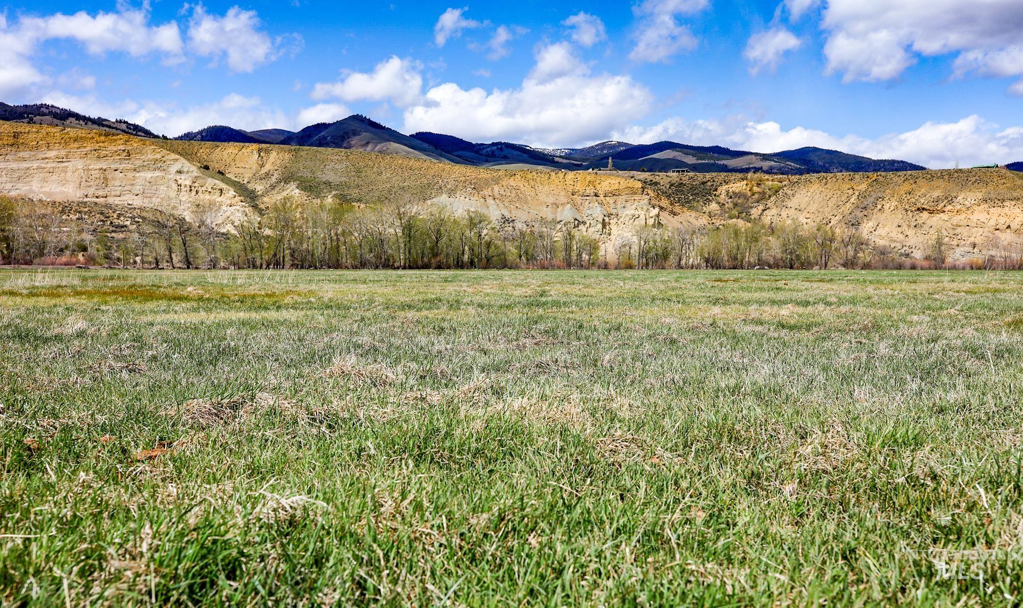 TBD St Charles Street, Salmon, Idaho 83467, Farm & Ranch For Sale, Price $1,125,000, 98842168