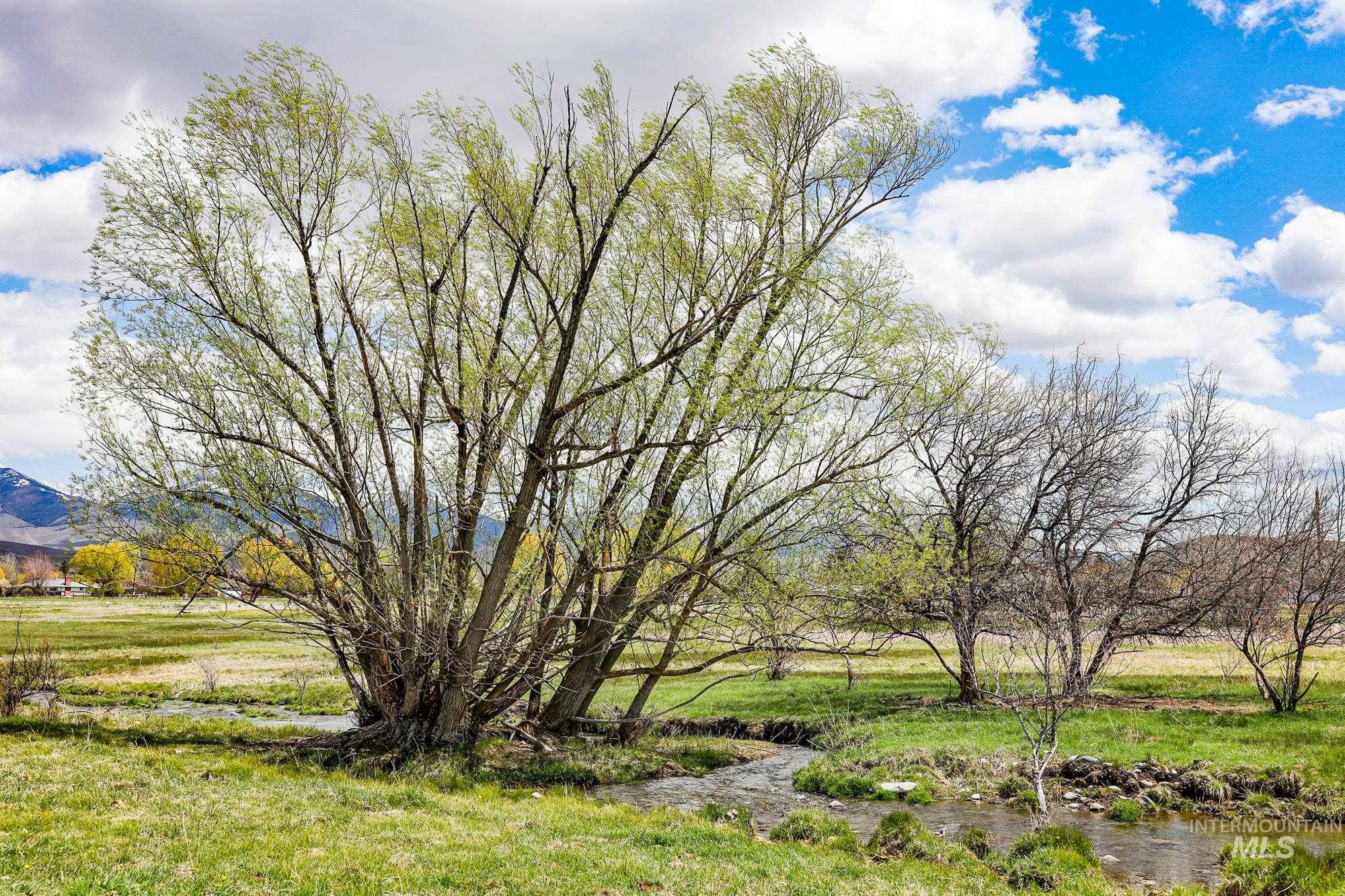 TBD St Charles Street, Salmon, Idaho 83467, Farm & Ranch For Sale, Price $1,125,000, 98842168