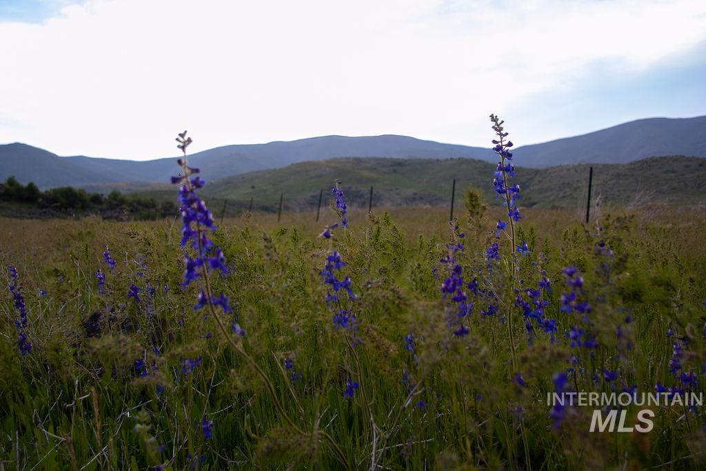 TBD Parcel C Baldwin Lane, Ola, Idaho 83657, Land For Sale, Price $285,900, 98842466