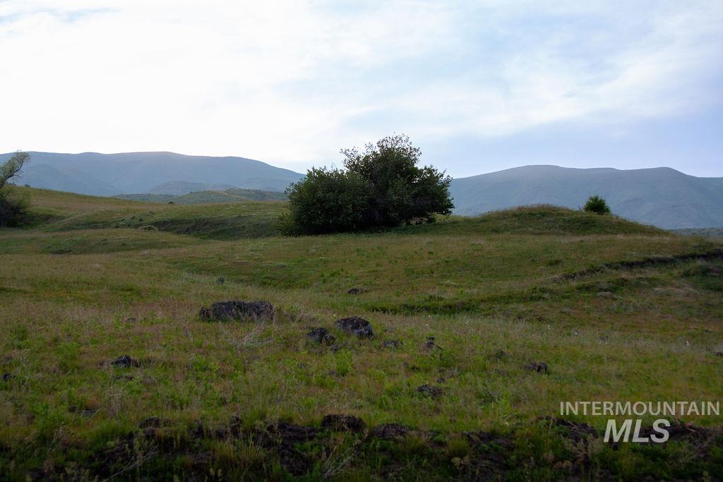 TBD Parcel C Baldwin Lane, Ola, Idaho 83657, Land For Sale, Price $285,900, 98842466