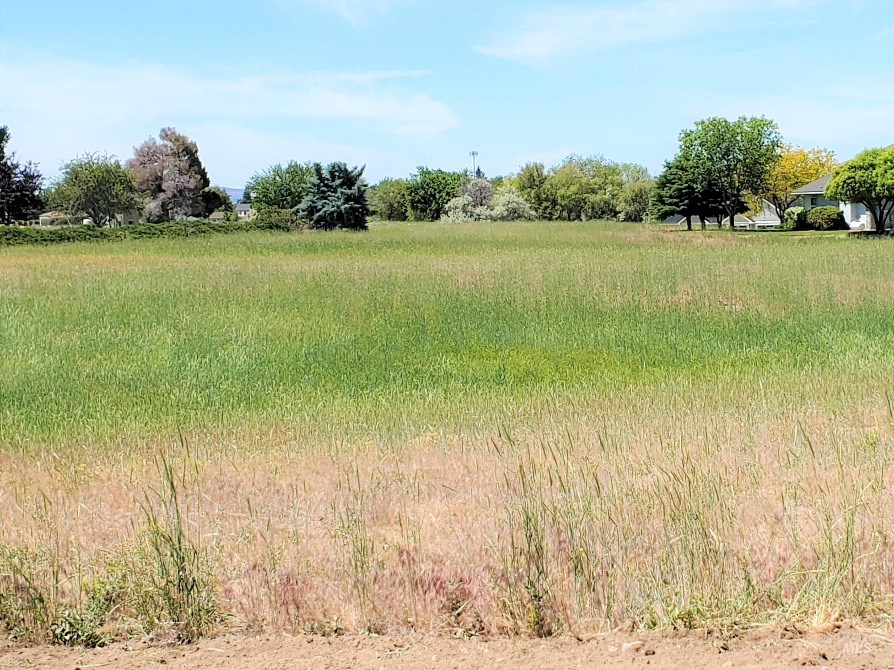 0 Scotch Pines, Payette, Idaho 83661-0000, Land For Sale, Price $895,000, 98842635