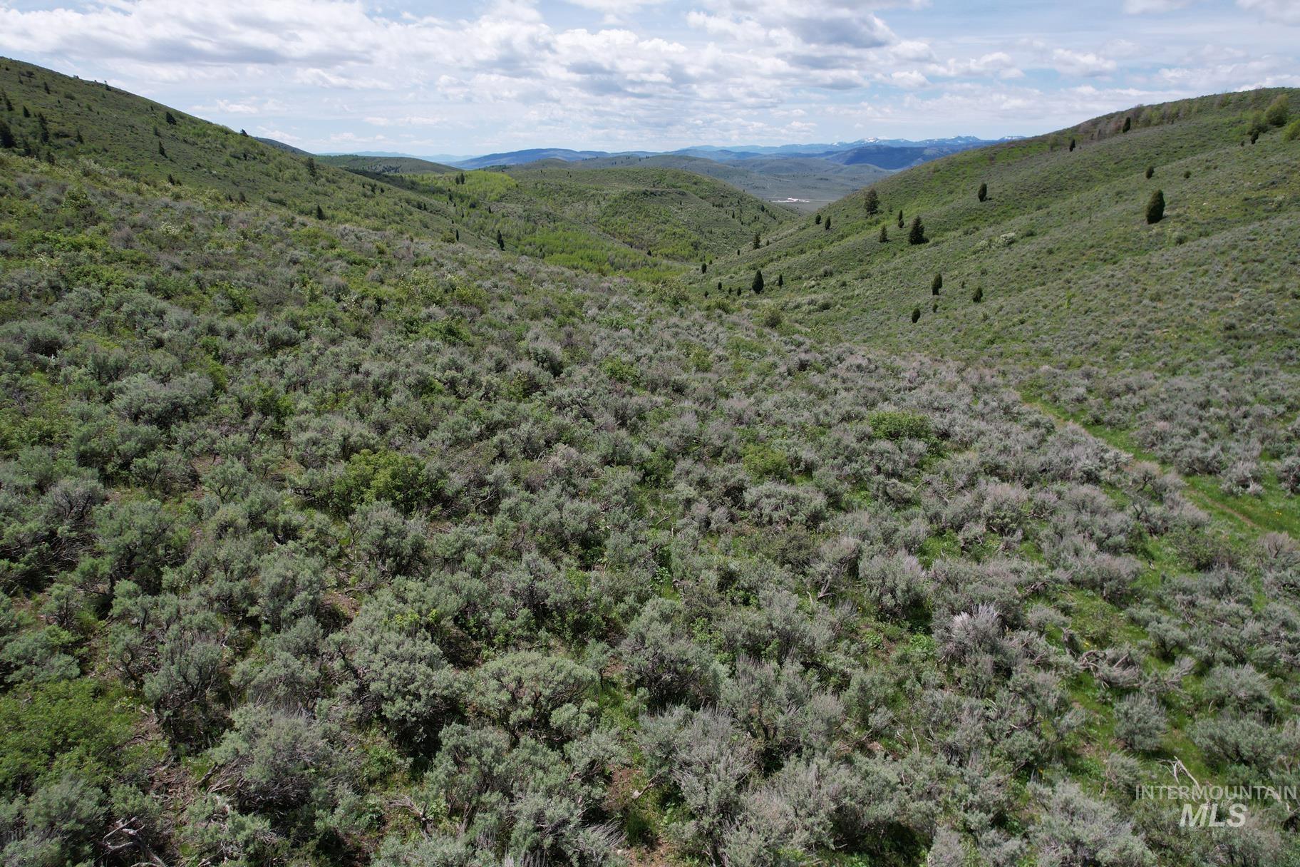 TBD Fossil Canyon, Montpelier, Idaho 83254, Land For Sale, Price $2,249,000,MLS 98843271