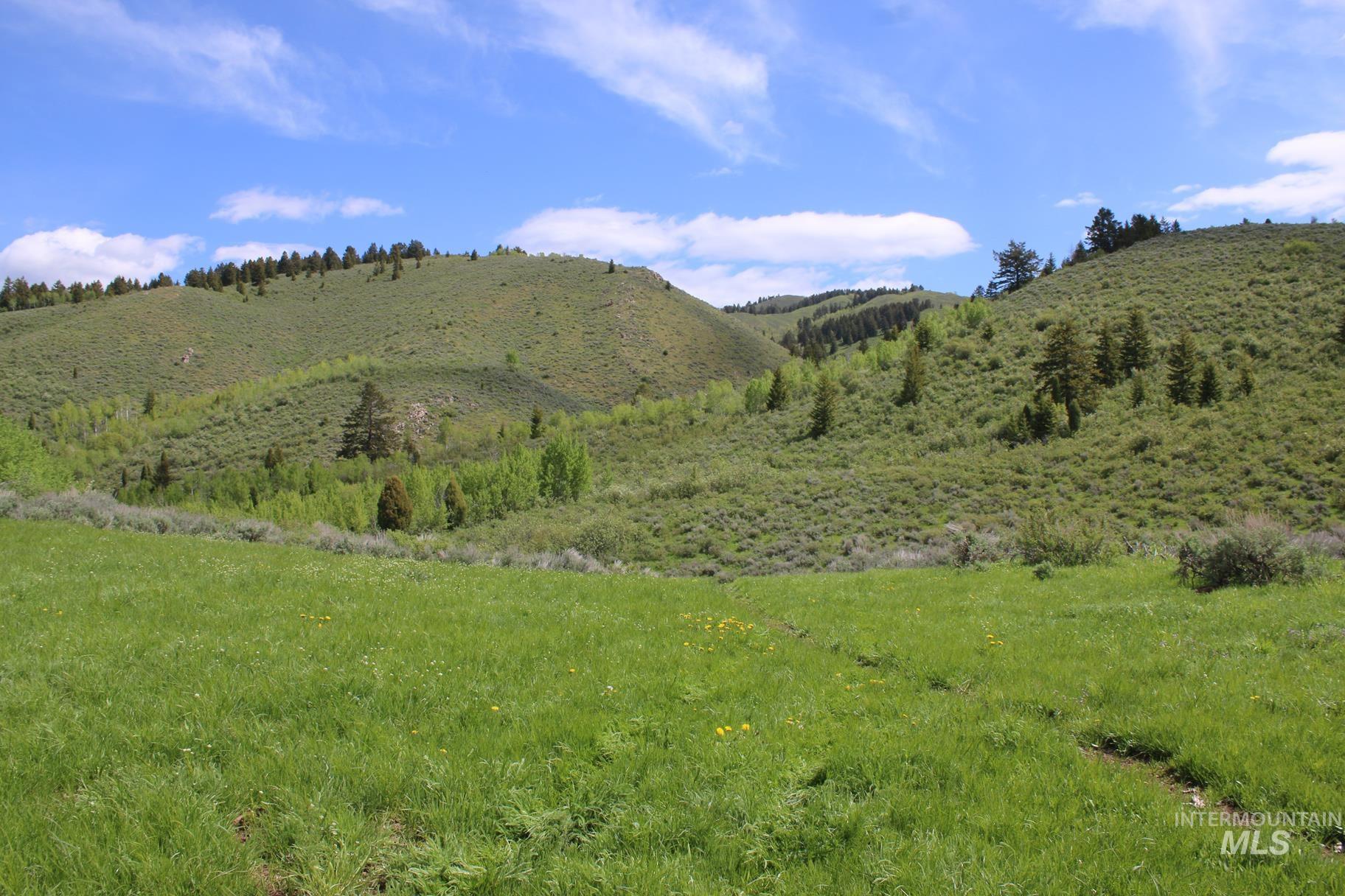 TBD Fossil Canyon, Montpelier, Idaho 83254, Farm & Ranch For Sale, Price $2,249,000,MLS 98843277