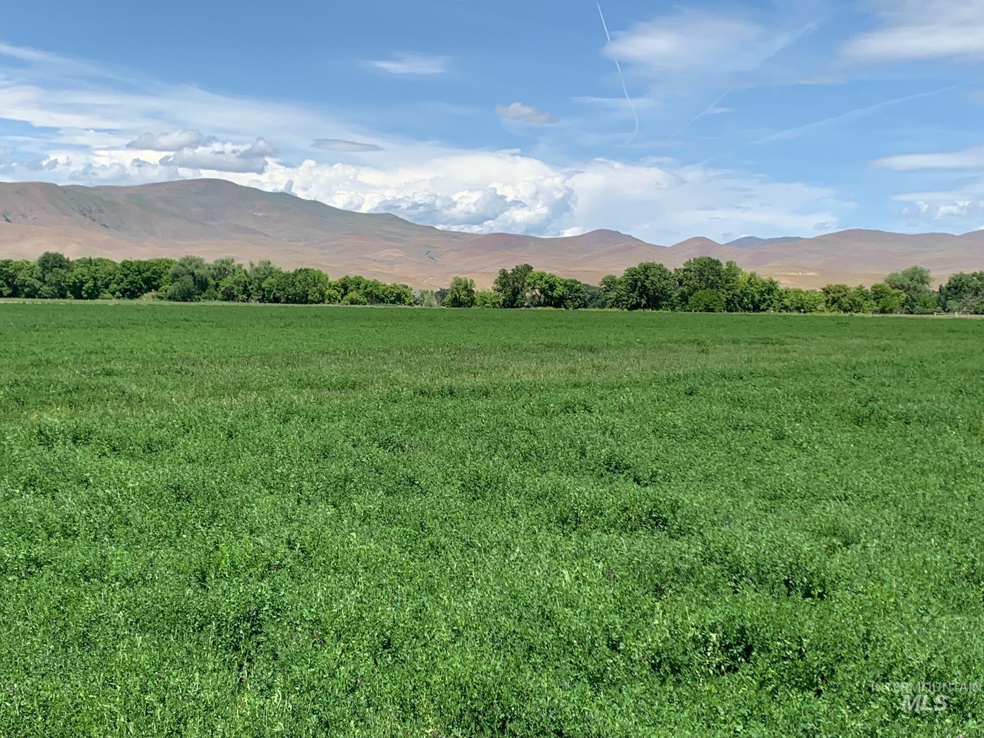 815 Eaton (Land Only), Weiser, Idaho 83672, Land For Sale, Price $320,000, 98843690