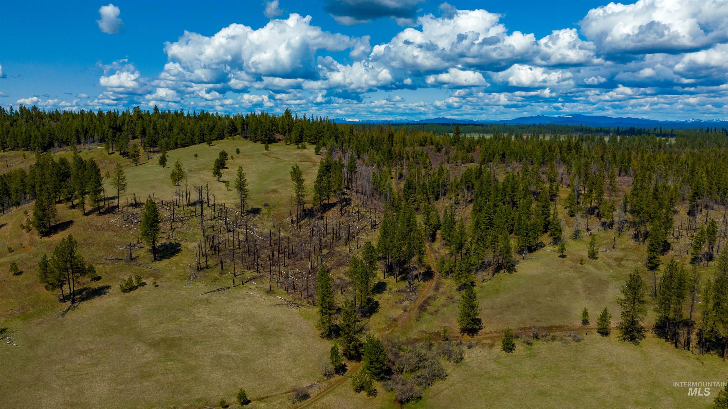 NKA 20acs Hidden Valley Ln, Lot 1, Weippe, Idaho 83553, Land For Sale, Price $159,000,MLS 98843769