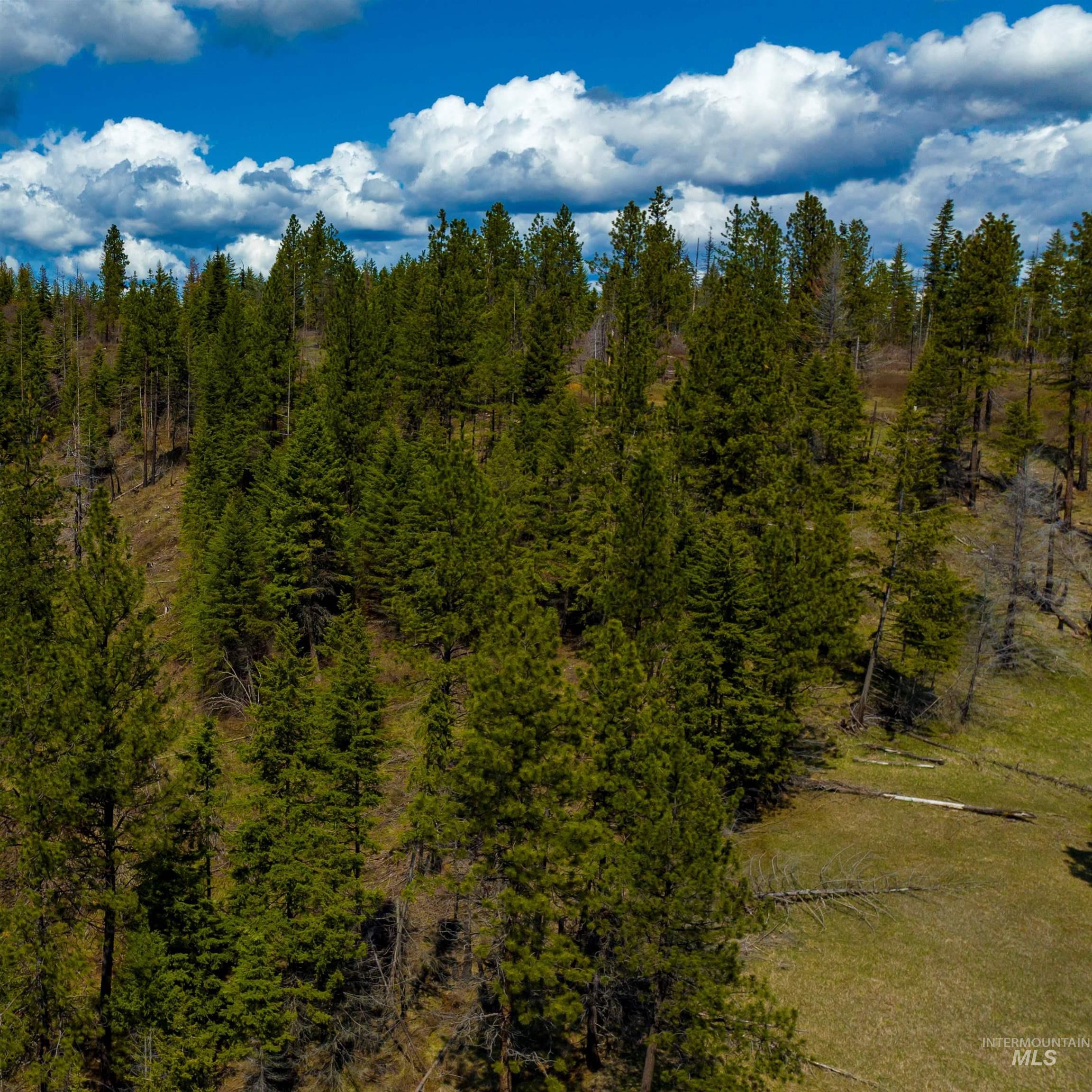 NKA 20acs Hidden Valley Ln, Lot 2, Weippe, Idaho 83553, Land For Sale, Price $159,000,MLS 98843773