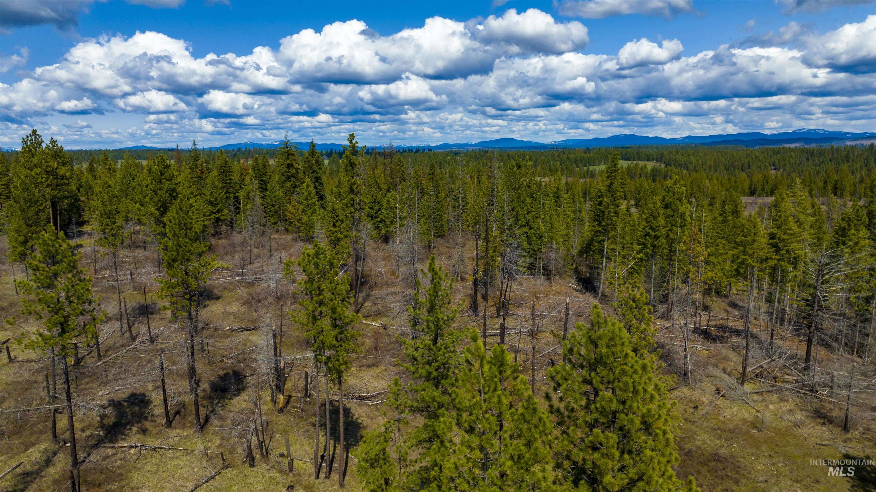 NKA 20acs Hidden Valley Ln, Lot 3, Weippe, Idaho 83553, Land For Sale, Price $179,000,MLS 98843775