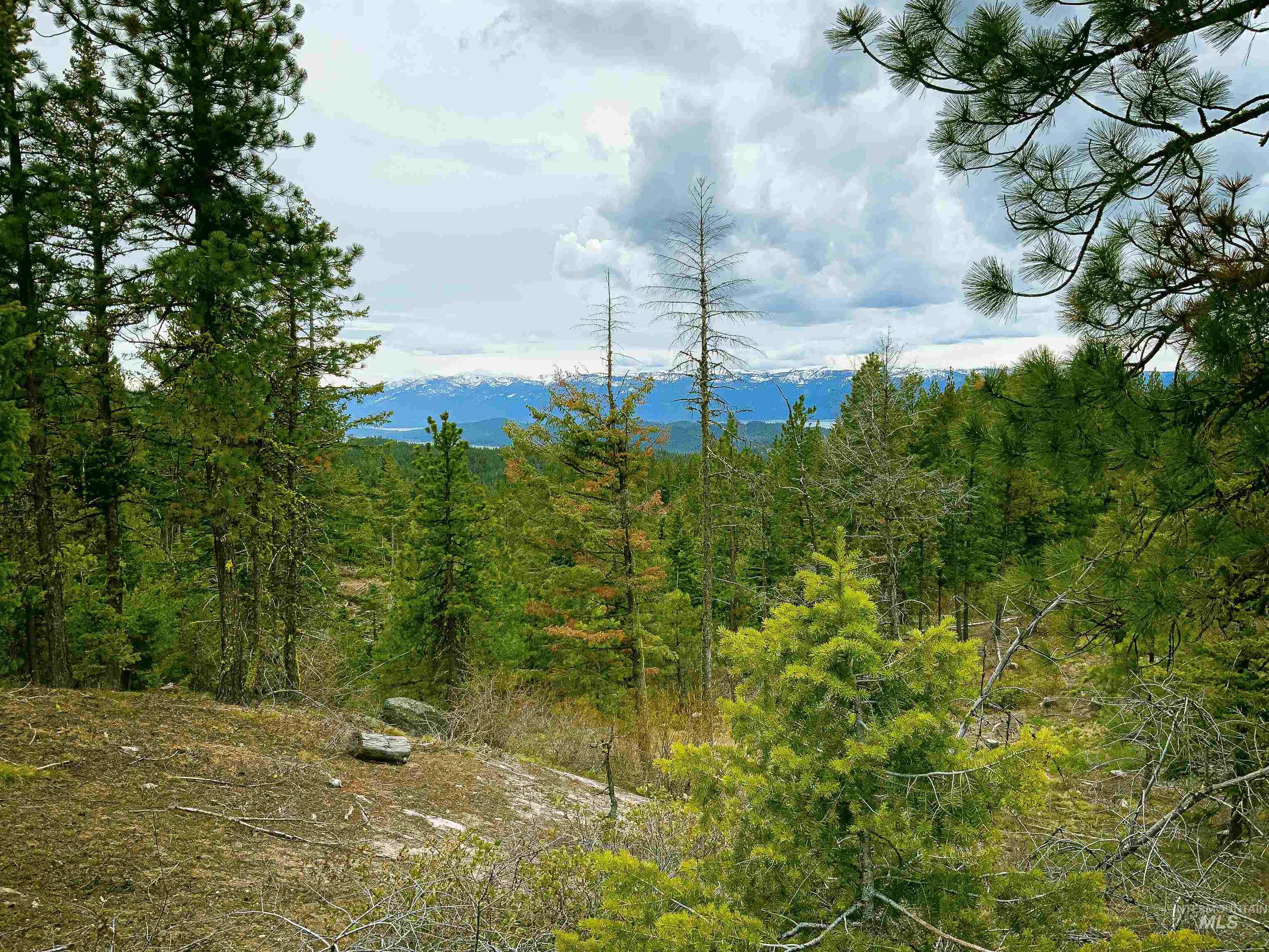 TBD Smalley Rd, Cascade, Idaho 83611, Land For Sale, Price $31,985,000,MLS 98846092