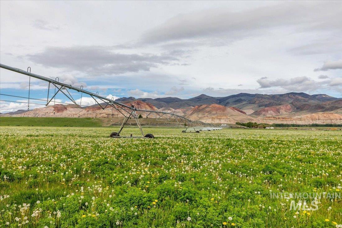 24950 Highway 93, Challis, Idaho 83226, 3 Bedrooms, 3 Bathrooms, Farm & Ranch For Sale, Price $11,320,000, 98846331