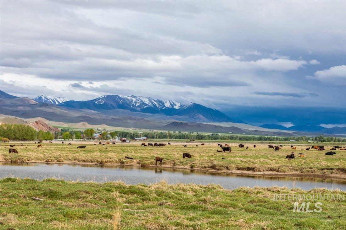24950 Highway 93, Challis, Idaho 83226, 3 Bedrooms, 3 Bathrooms, Farm & Ranch For Sale, Price $11,320,000, 98846331