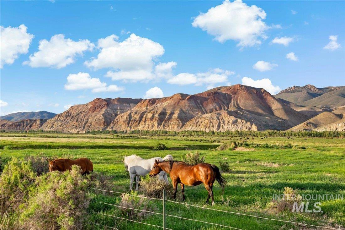 24950 Highway 93, Challis, Idaho 83226, 3 Bedrooms, 3 Bathrooms, Farm & Ranch For Sale, Price $11,320,000, 98846331