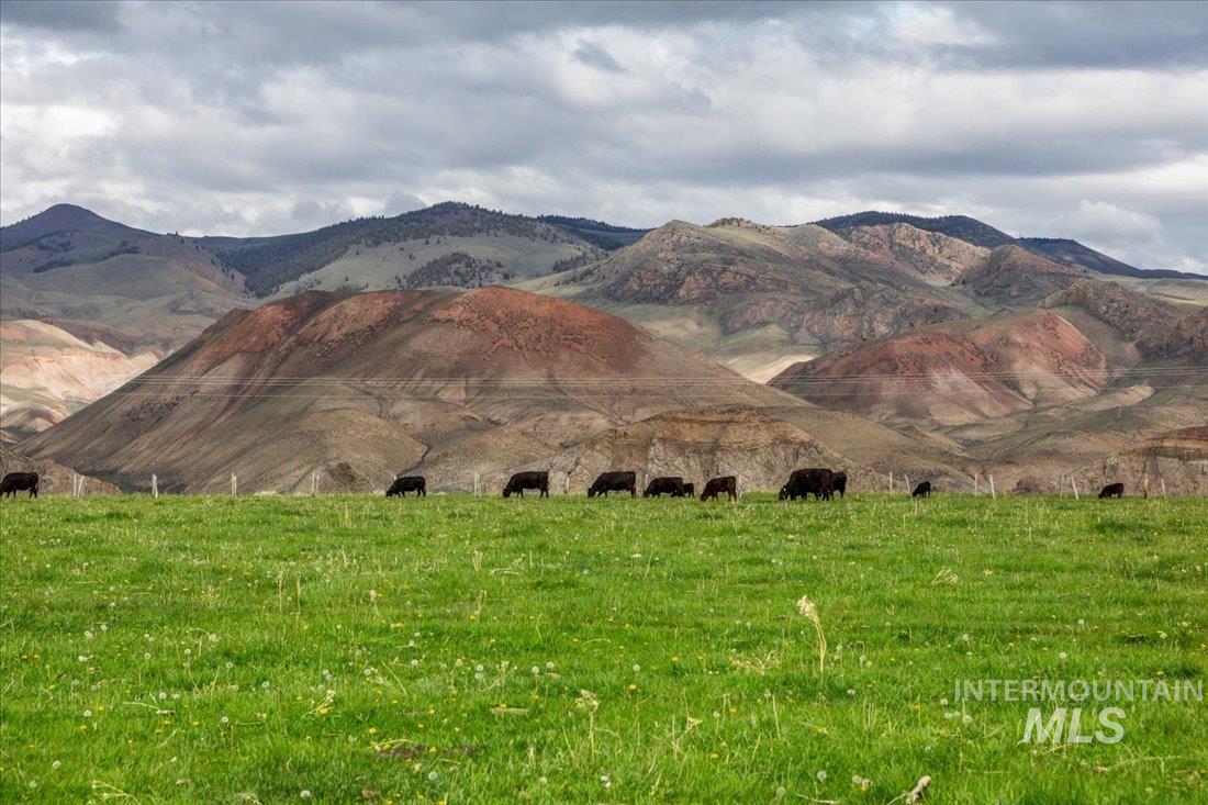 24950 Highway 93, Challis, Idaho 83226, 3 Bedrooms, 3 Bathrooms, Farm & Ranch For Sale, Price $11,320,000, 98846331